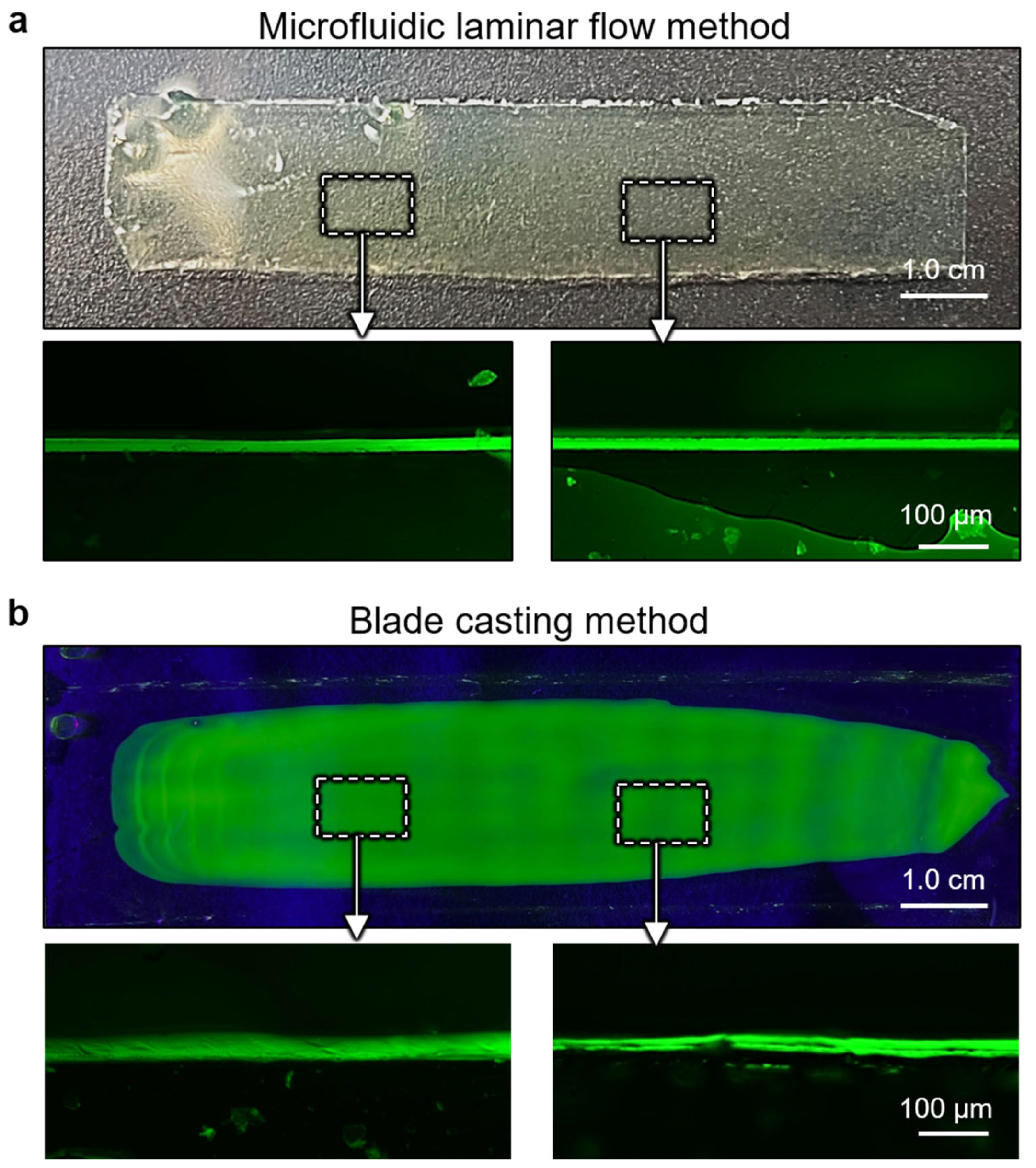 Polymers 15 02905 g006
