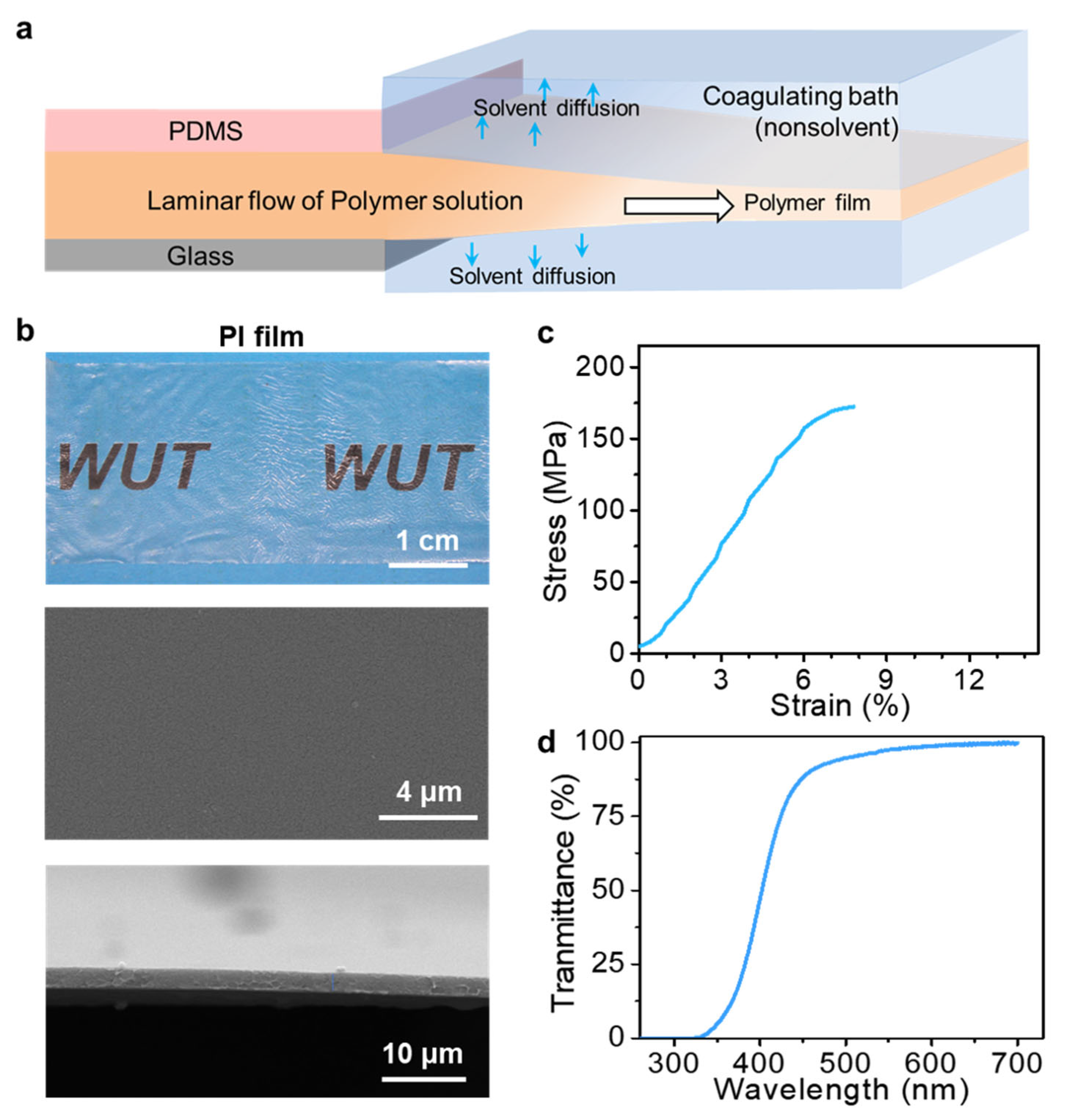 Polymers 15 02905 g008