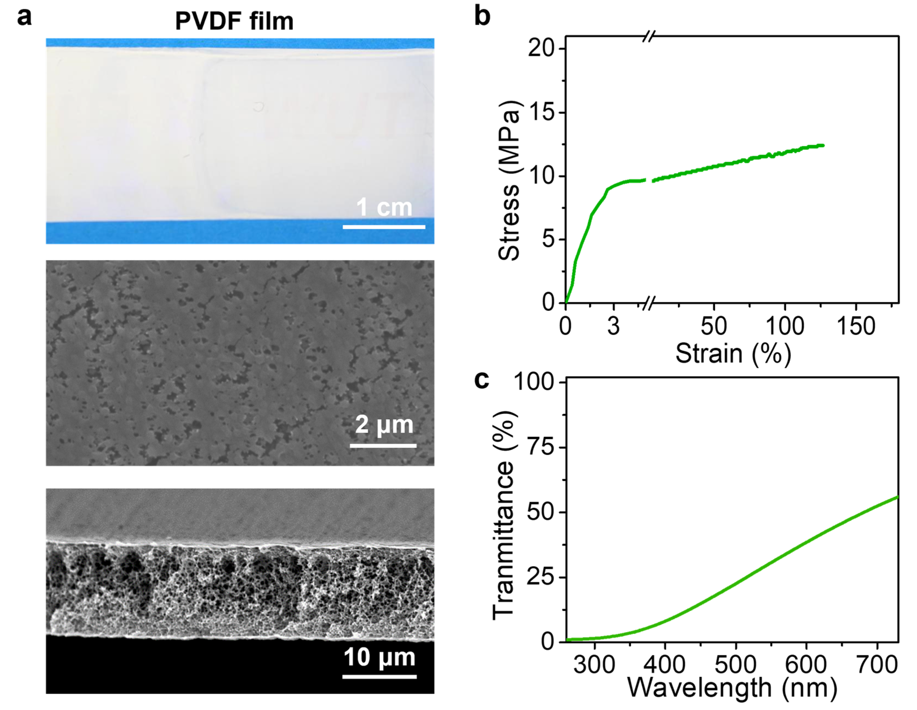 Polymers 15 02905 g009