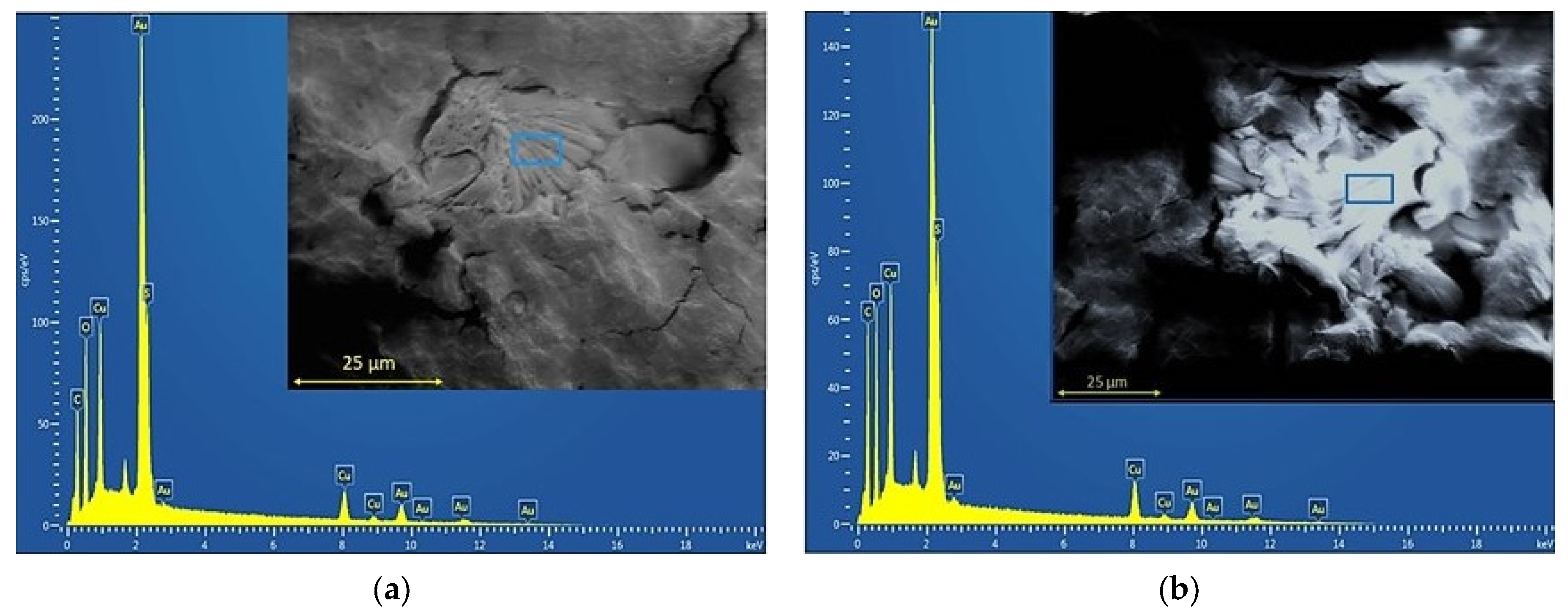Polymers 15 02907 g001
