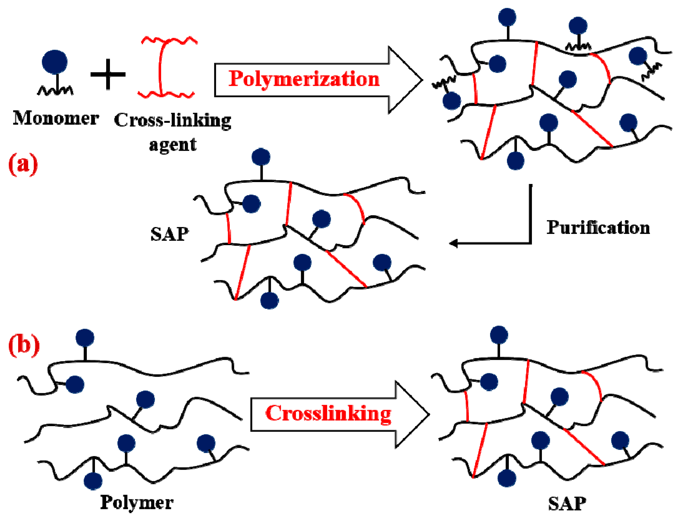 Polymers 15 02908 g003 Polymers 15 02908 g003