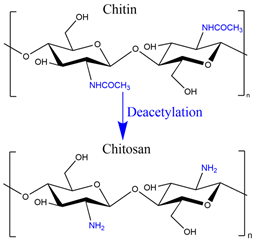 Polymers 15 02908 i006 Polymers 15 02908 i006