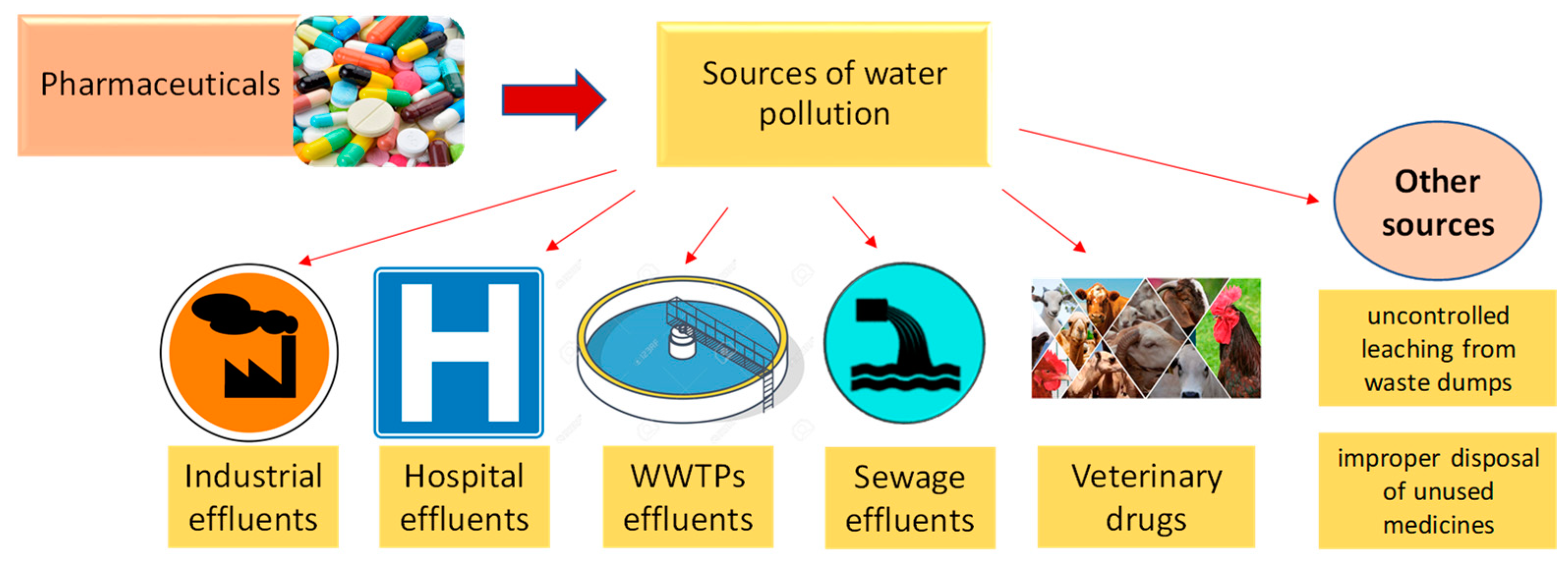 Polymers 15 02923 g002