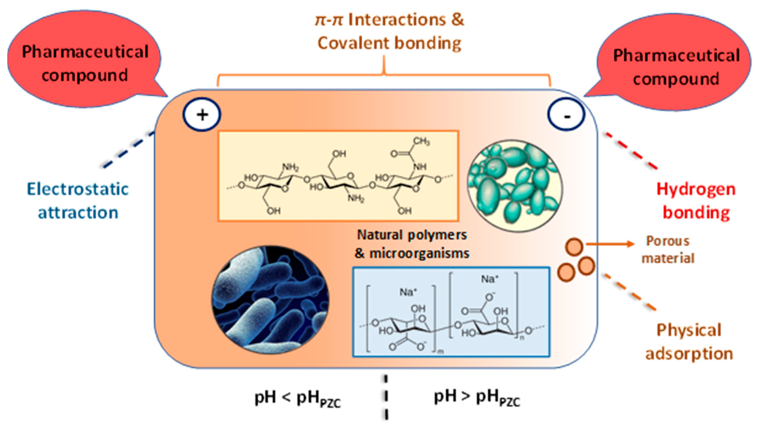 Polymers 15 02923 g004