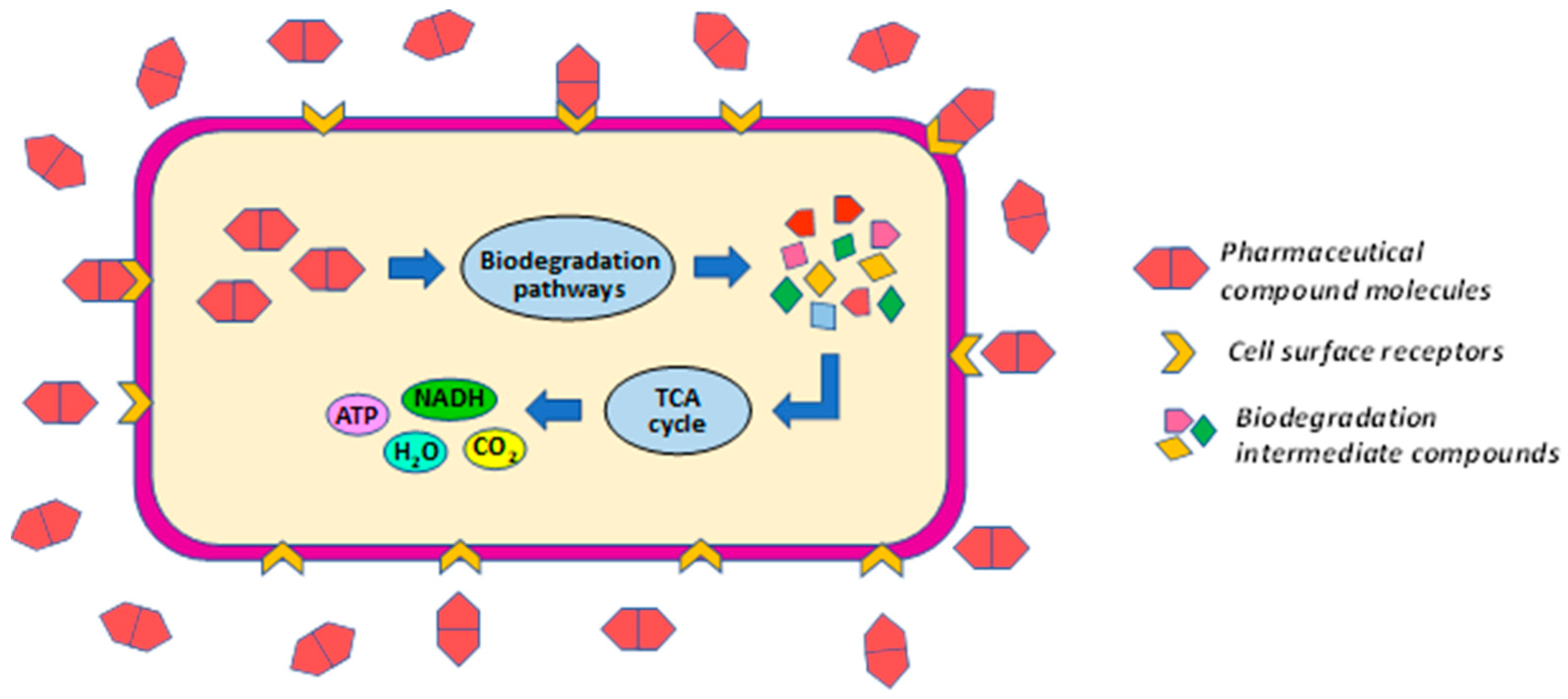 Polymers 15 02923 g005