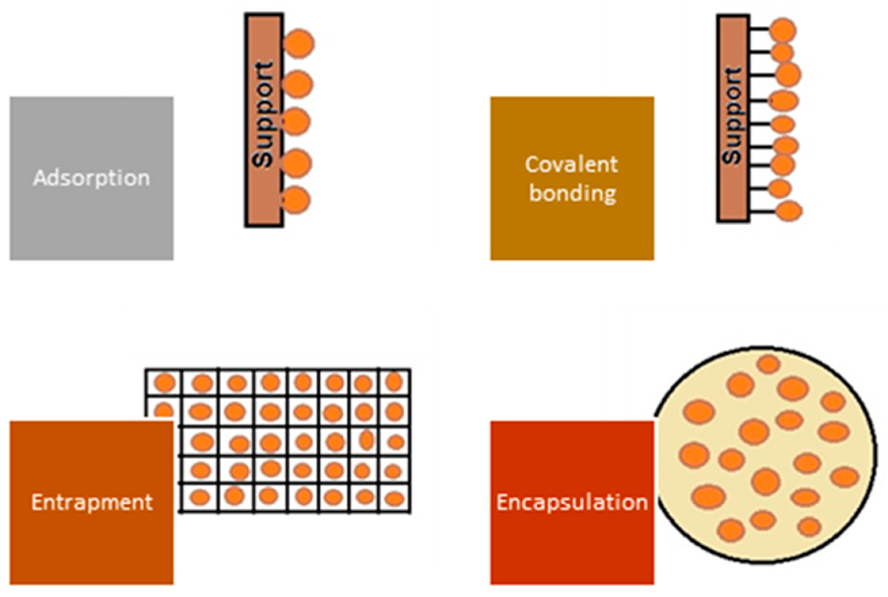 Polymers 15 02923 g006