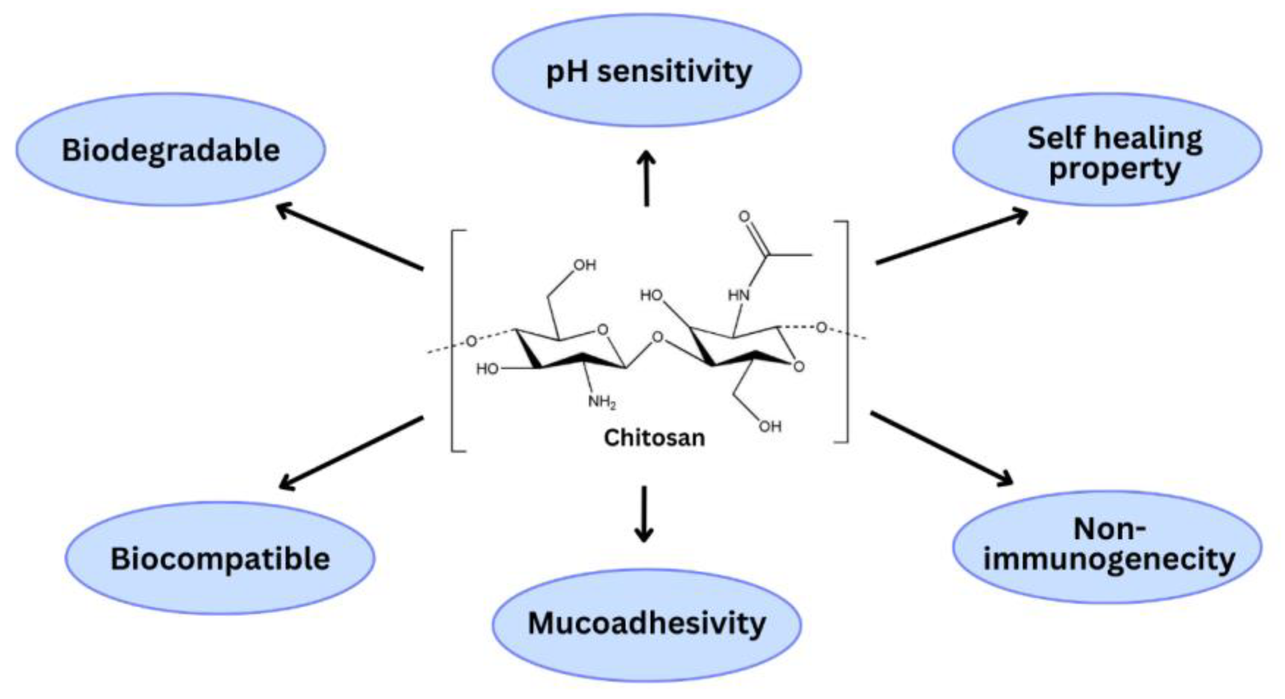 Polymers 15 02928 g002 Polymers 15 02928 g002