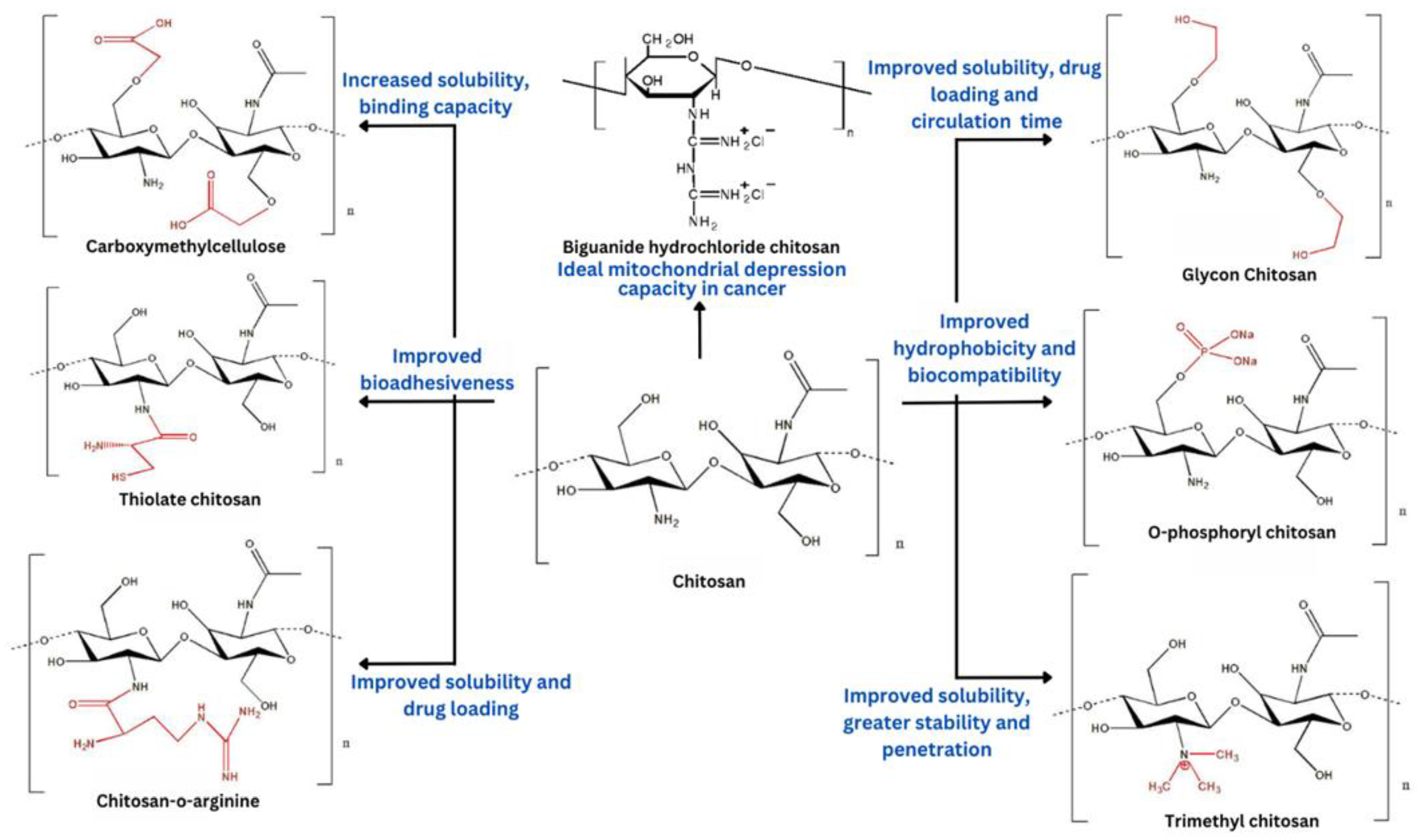 Polymers 15 02928 g003 Polymers 15 02928 g003