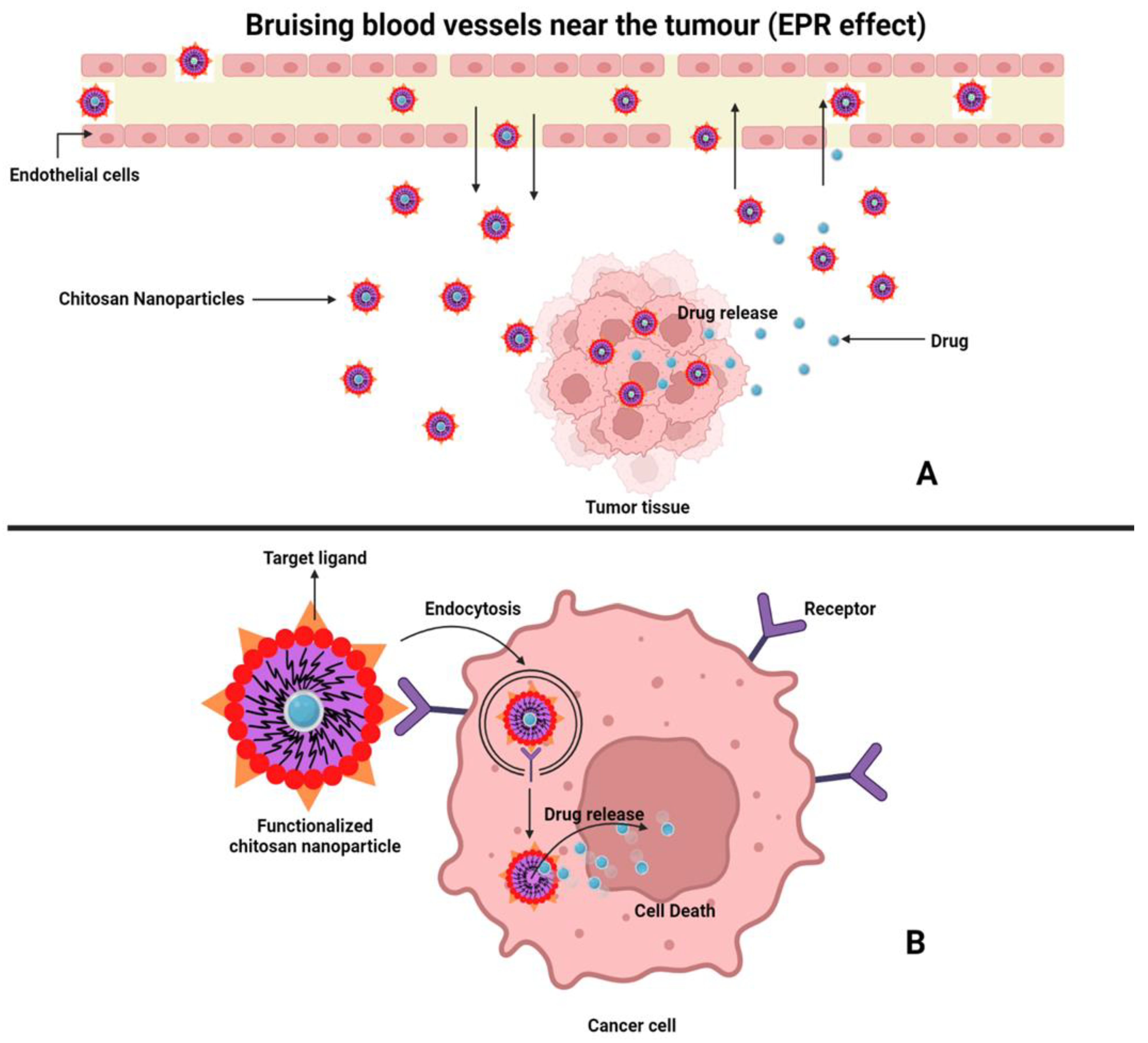 Polymers 15 02928 g004 Polymers 15 02928 g004