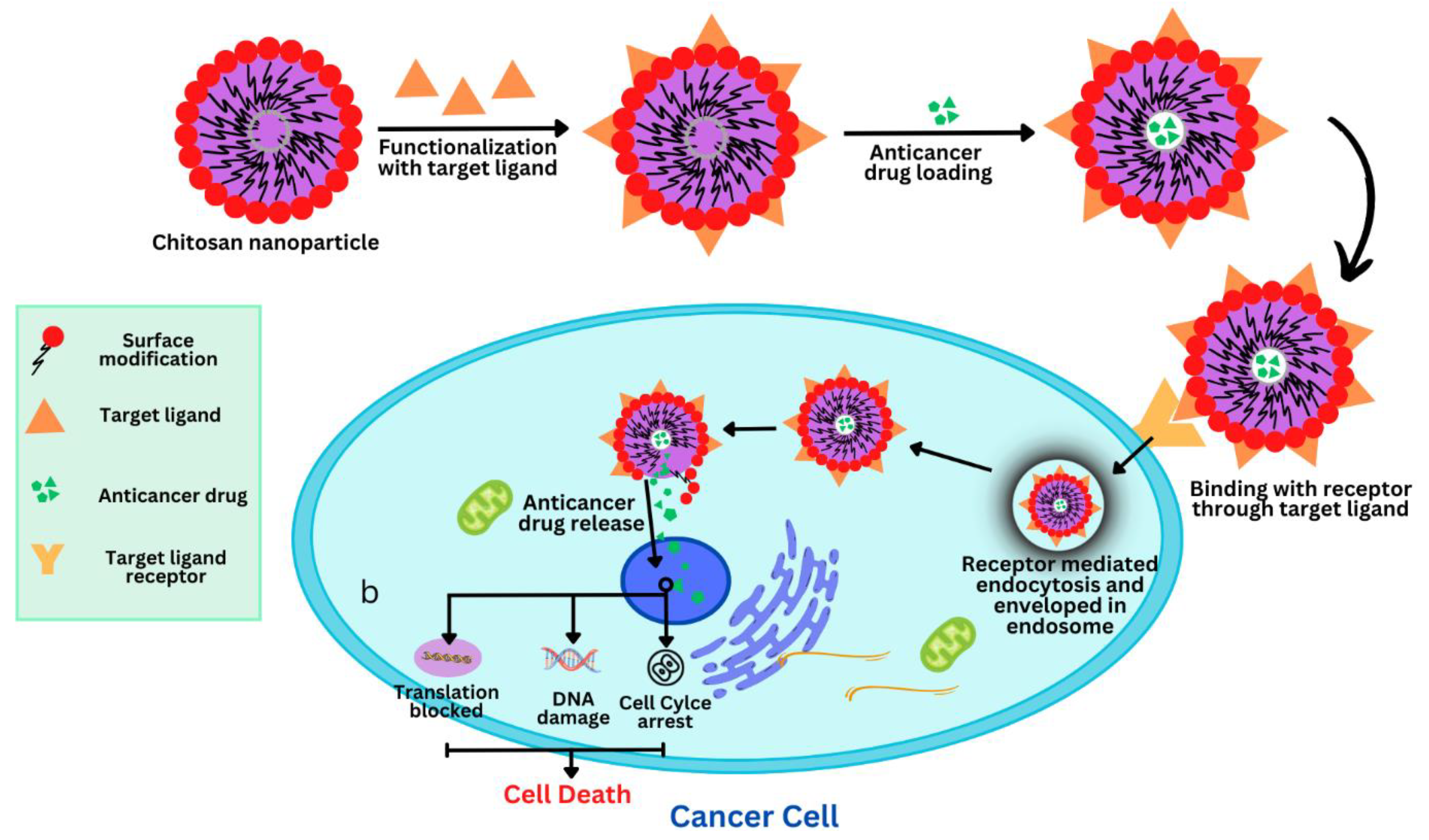 Polymers 15 02928 g005 Polymers 15 02928 g005