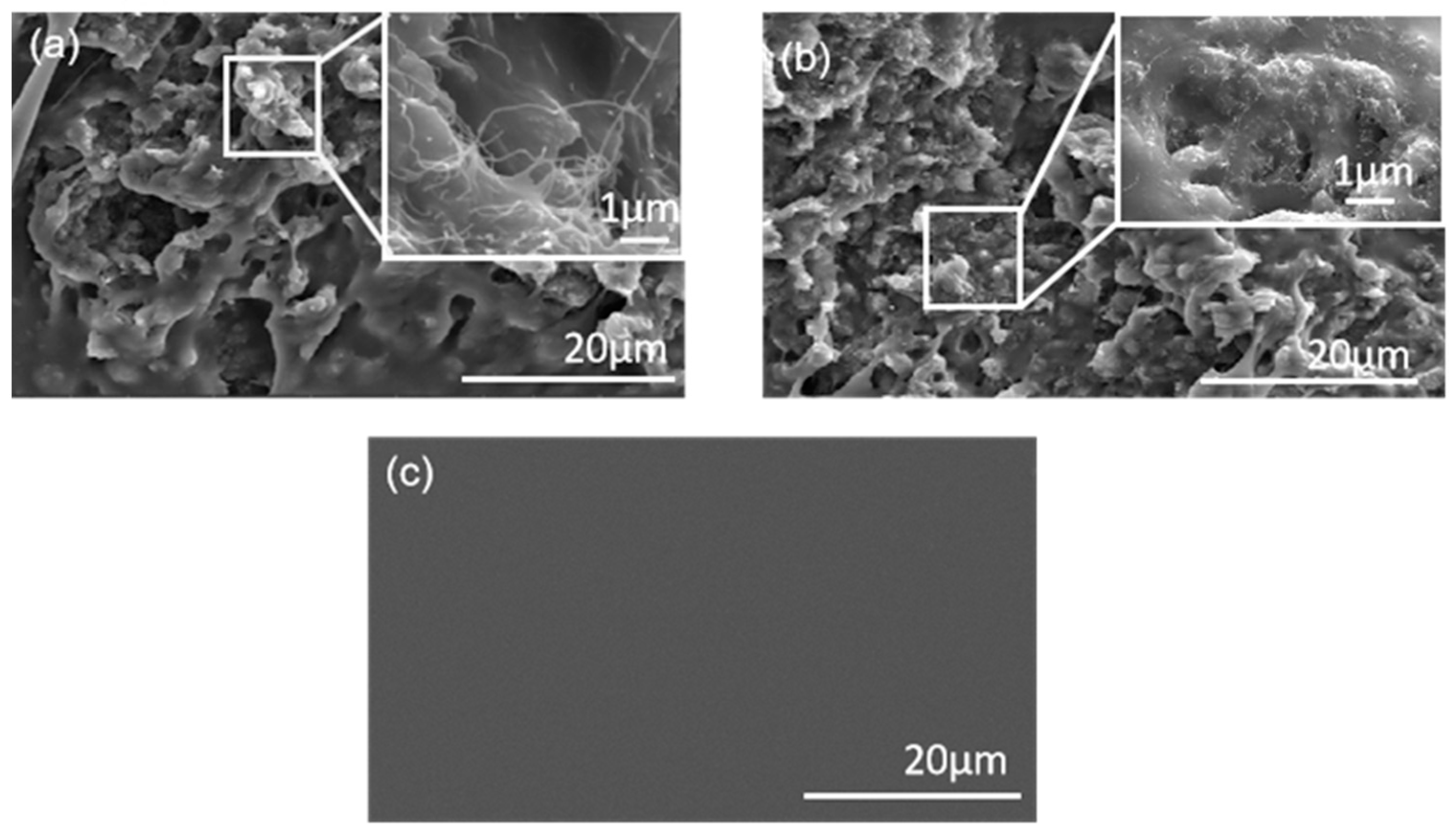 Polymers 15 02934 g003 Polymers 15 02934 g003