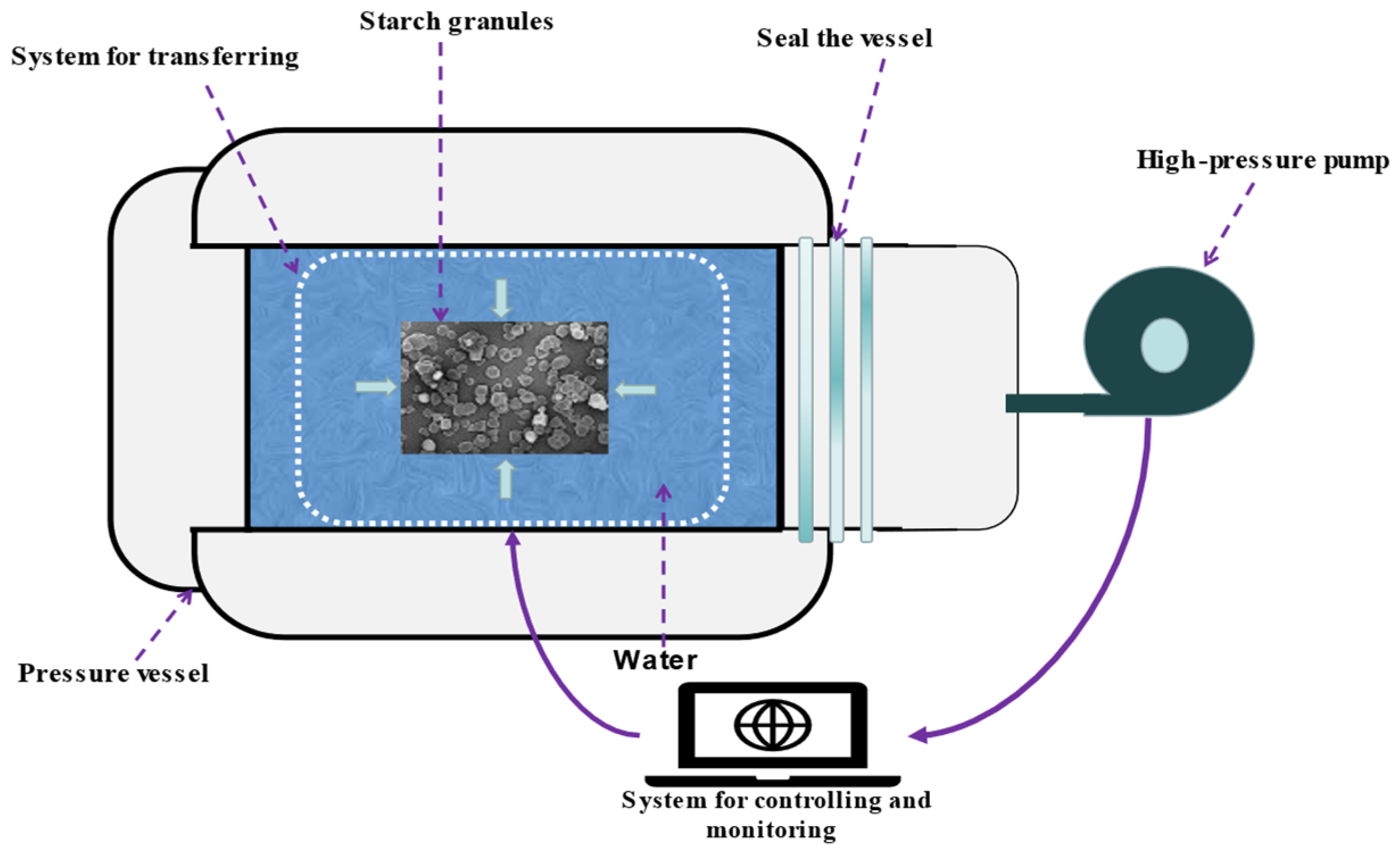 Polymers 15 02935 g004 Polymers 15 02935 g004