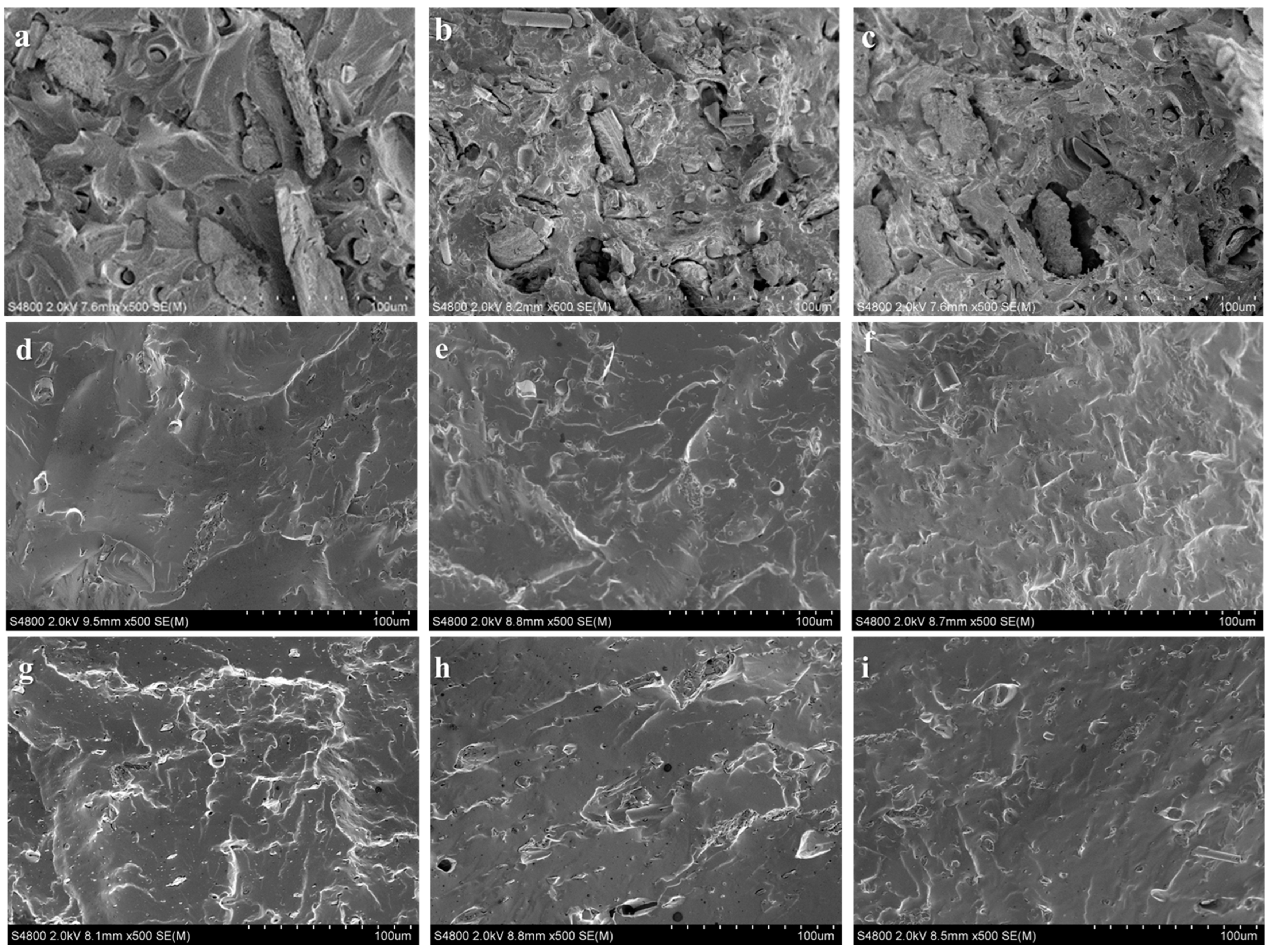 Polymers 15 02938 g005 Polymers 15 02938 g005