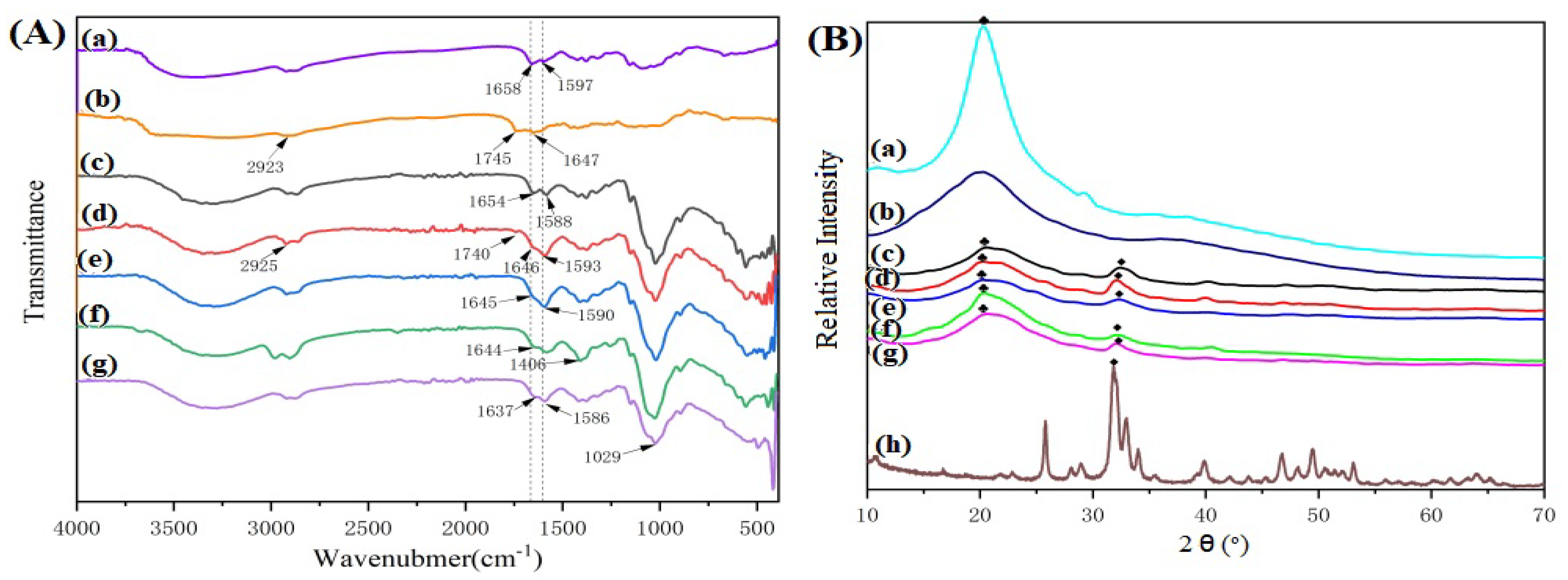 Polymers 15 02942 g001 Polymers 15 02942 g001