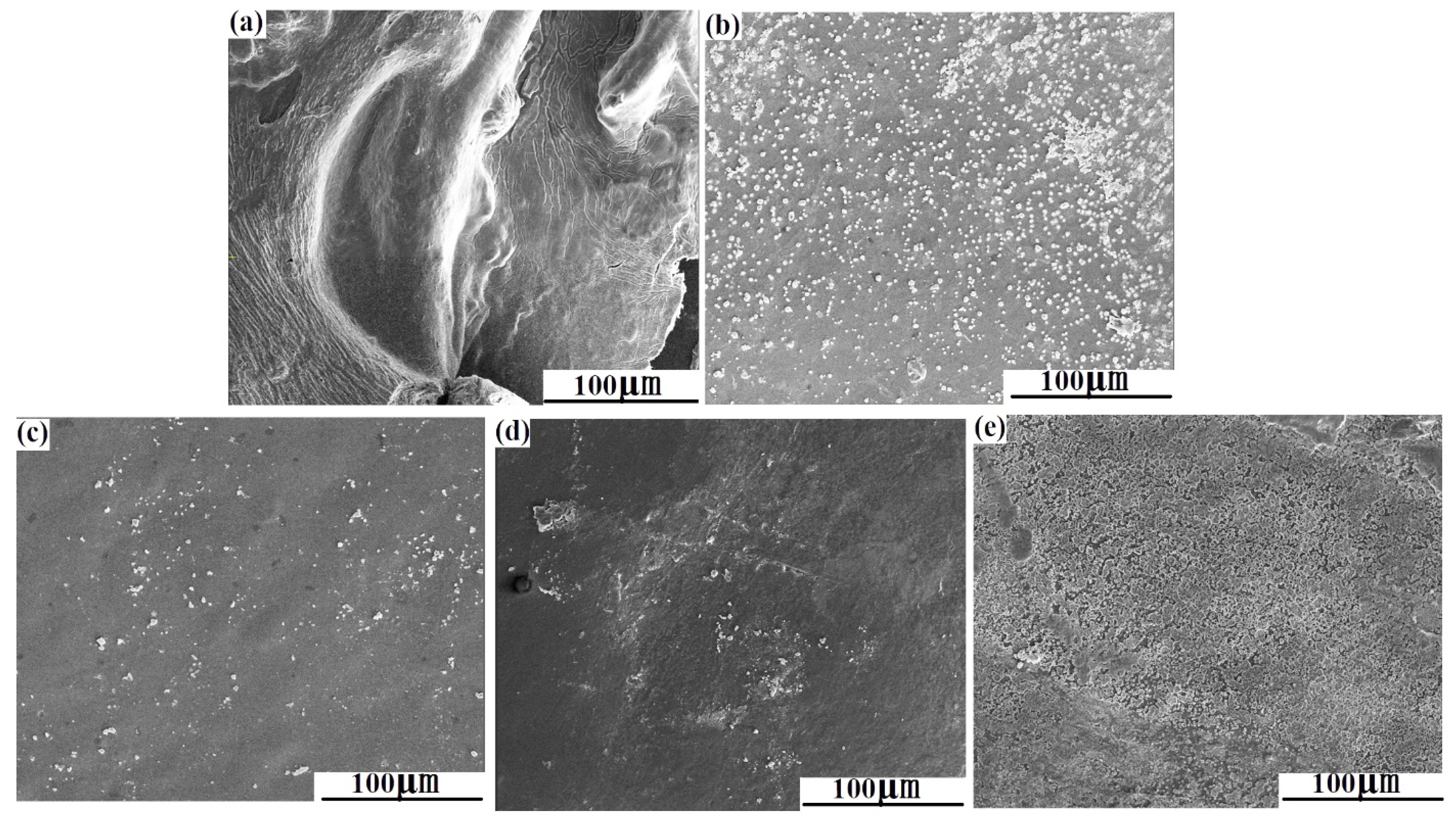 Polymers 15 02942 g002 Polymers 15 02942 g002