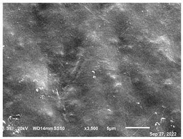 Polymers 15 02946 i001 Polymers 15 02946 i001