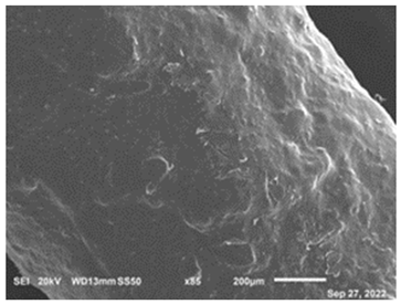 Polymers 15 02946 i003 Polymers 15 02946 i003