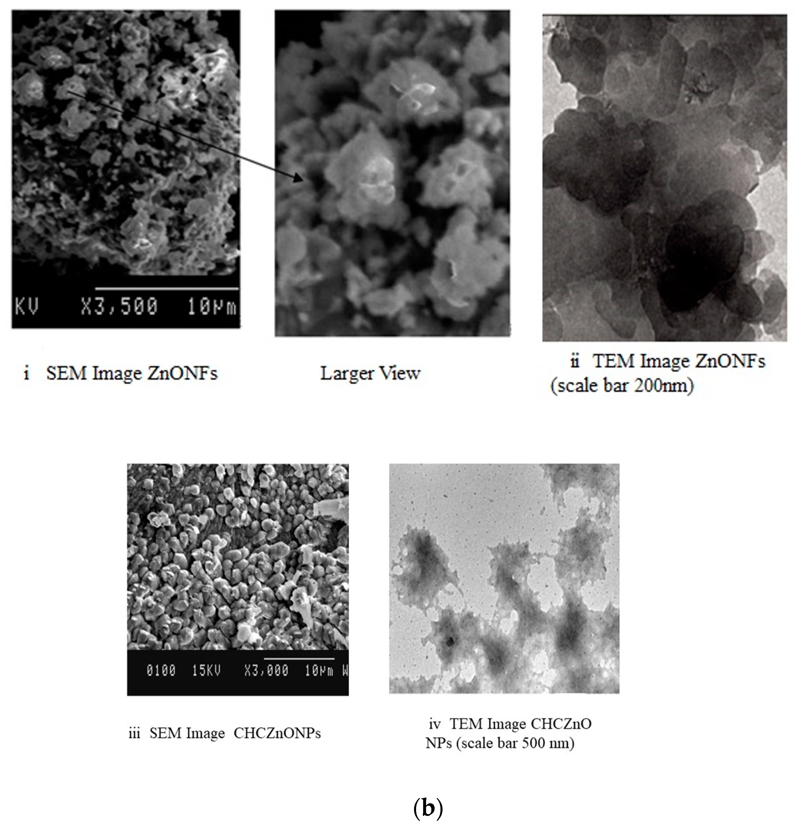 Polymers 15 02949 g001b