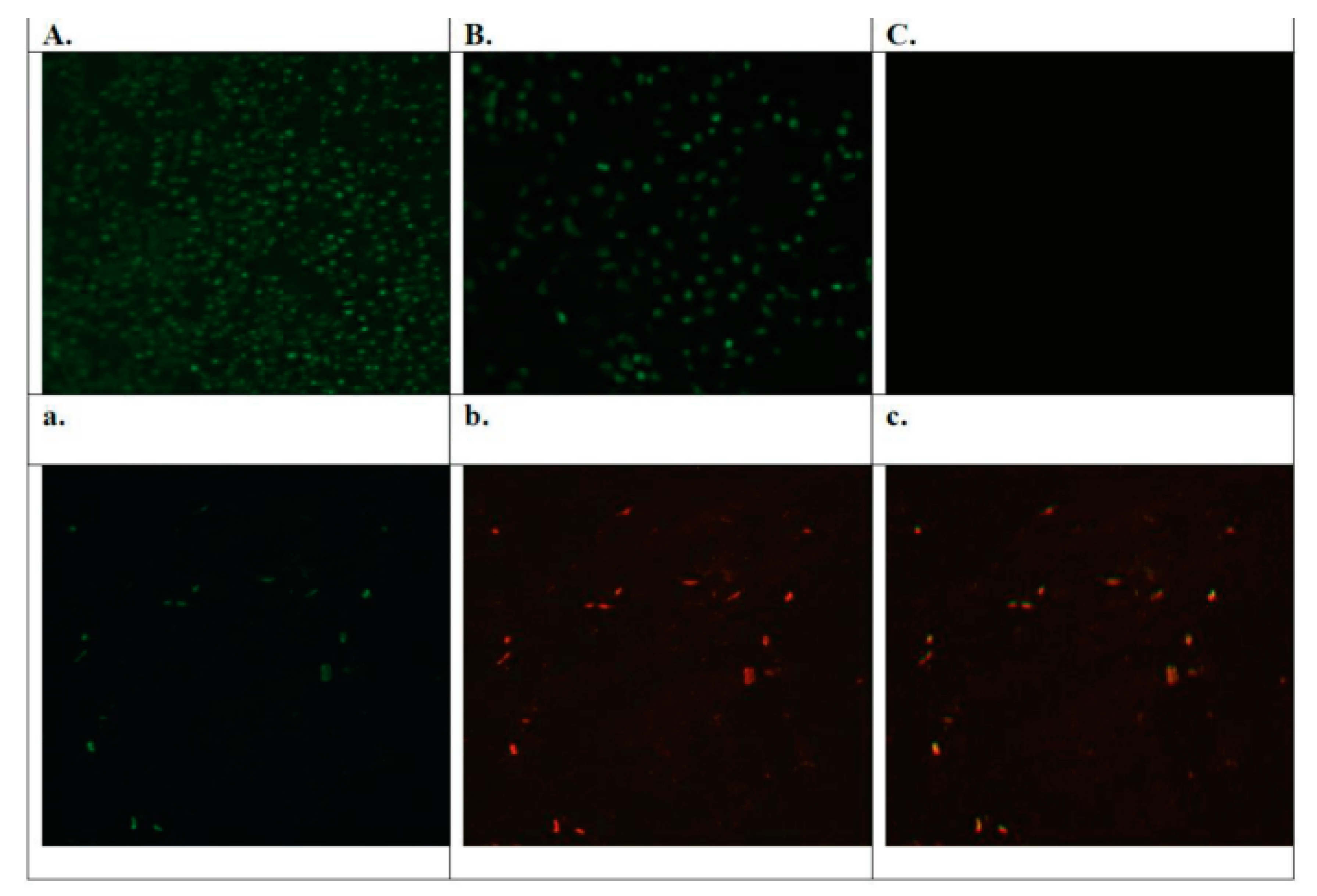 Polymers 15 02949 g008
