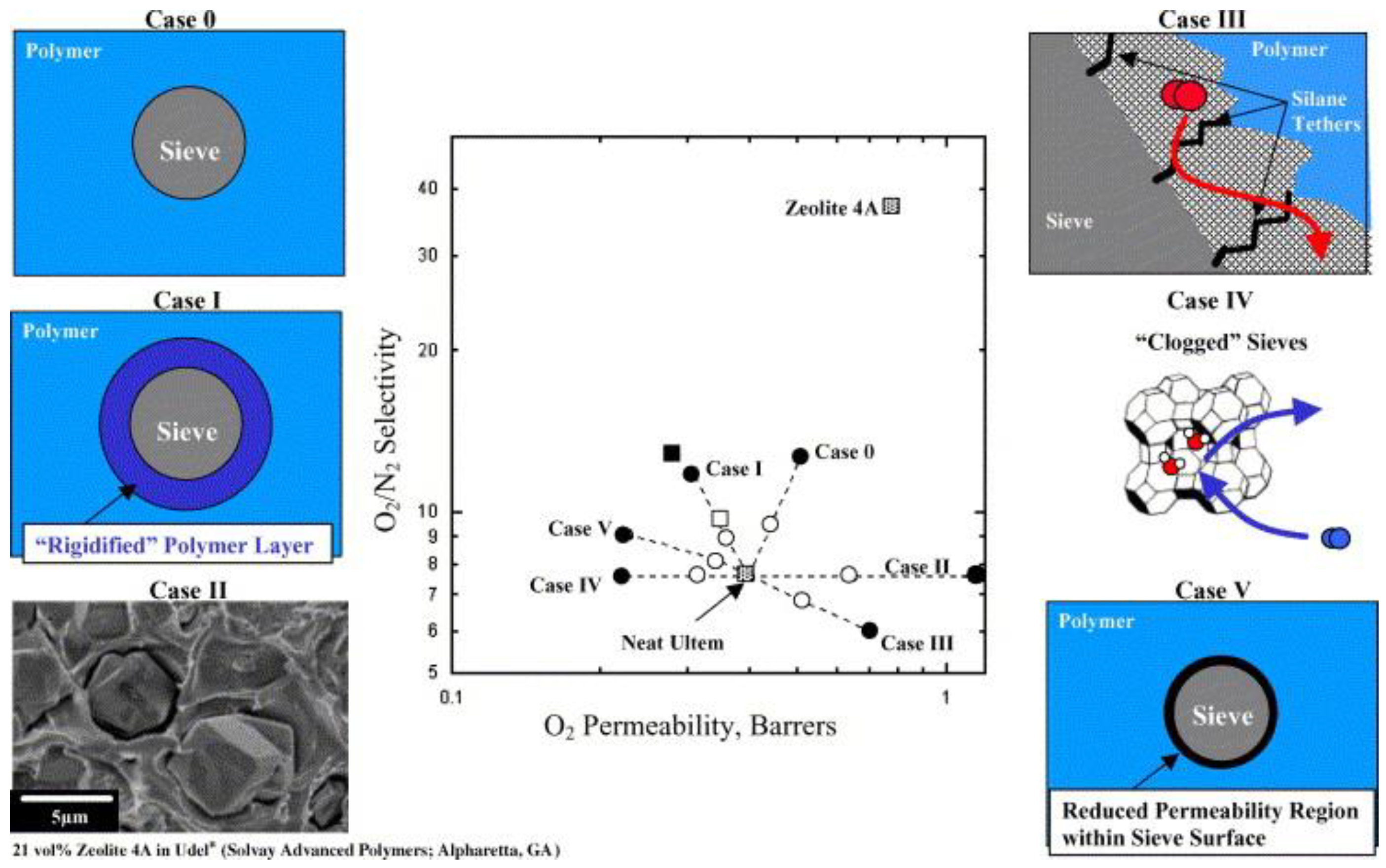 Polymers 15 02951 g001