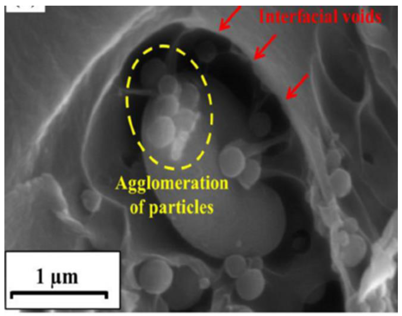 Polymers 15 02951 g009