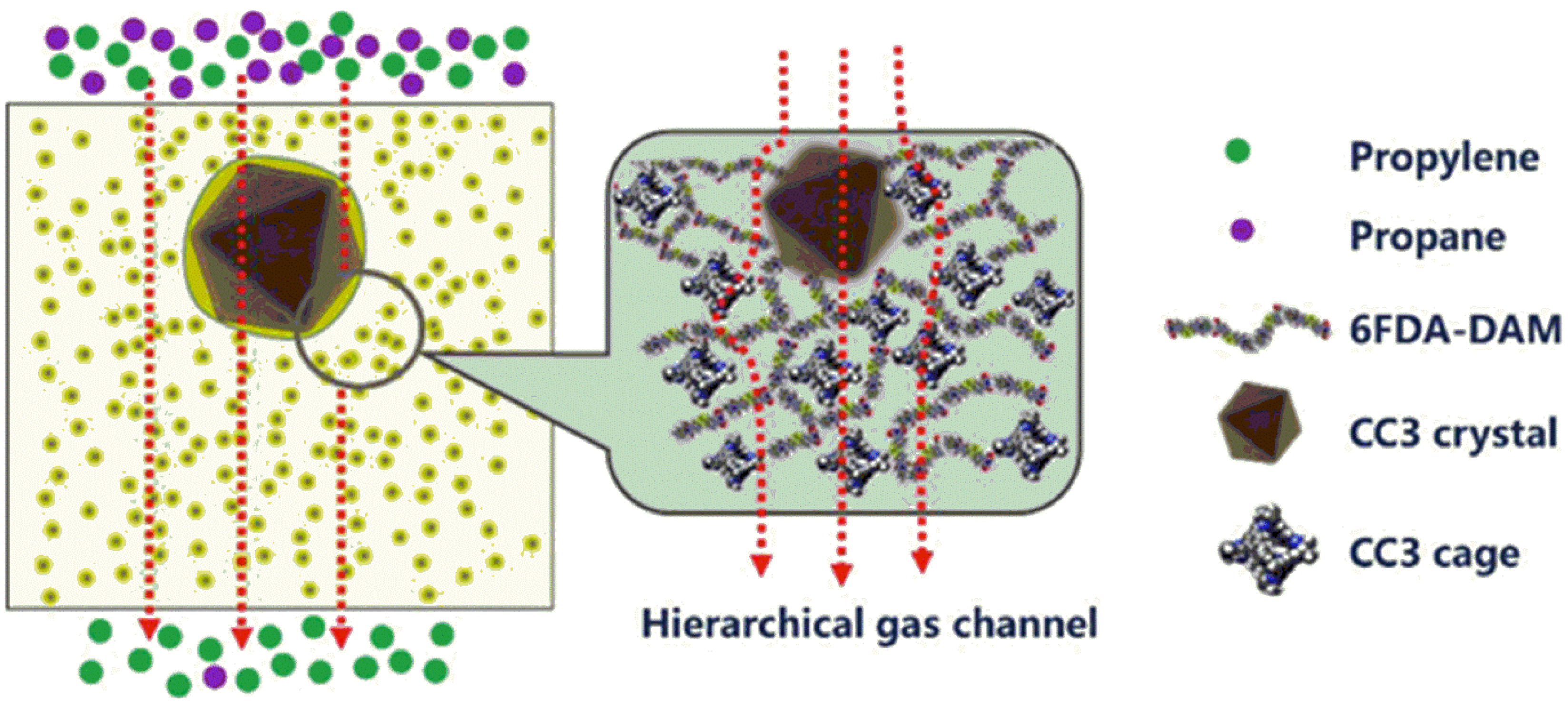 Polymers 15 02951 g010