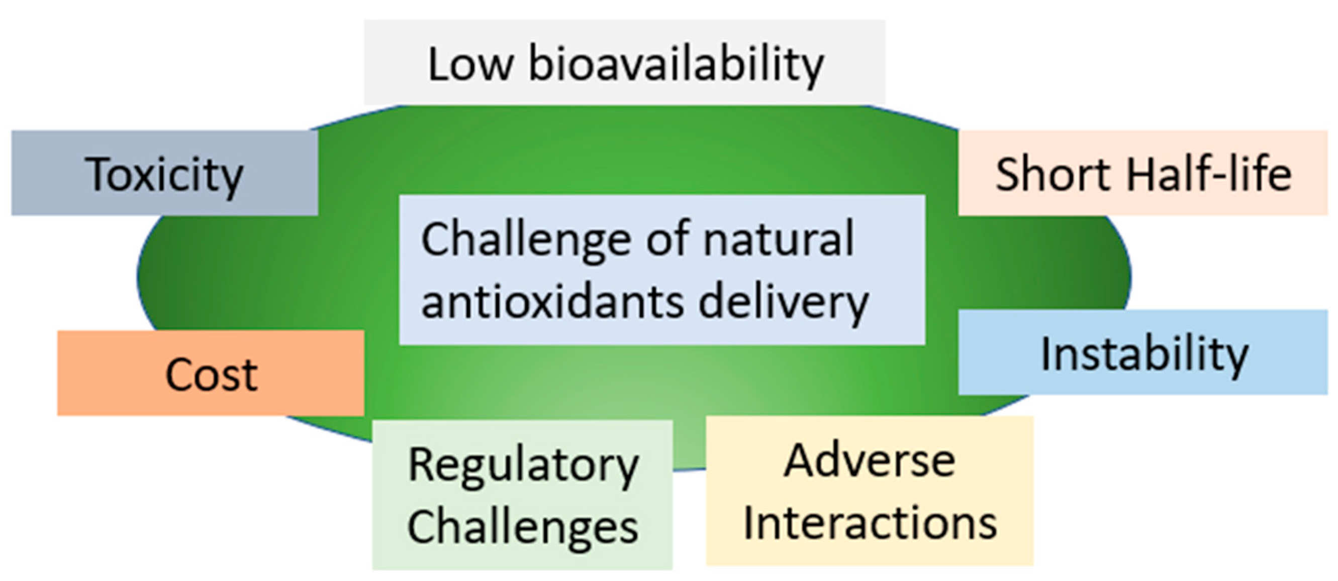 Polymers 15 02953 g001 Polymers 15 02953 g001