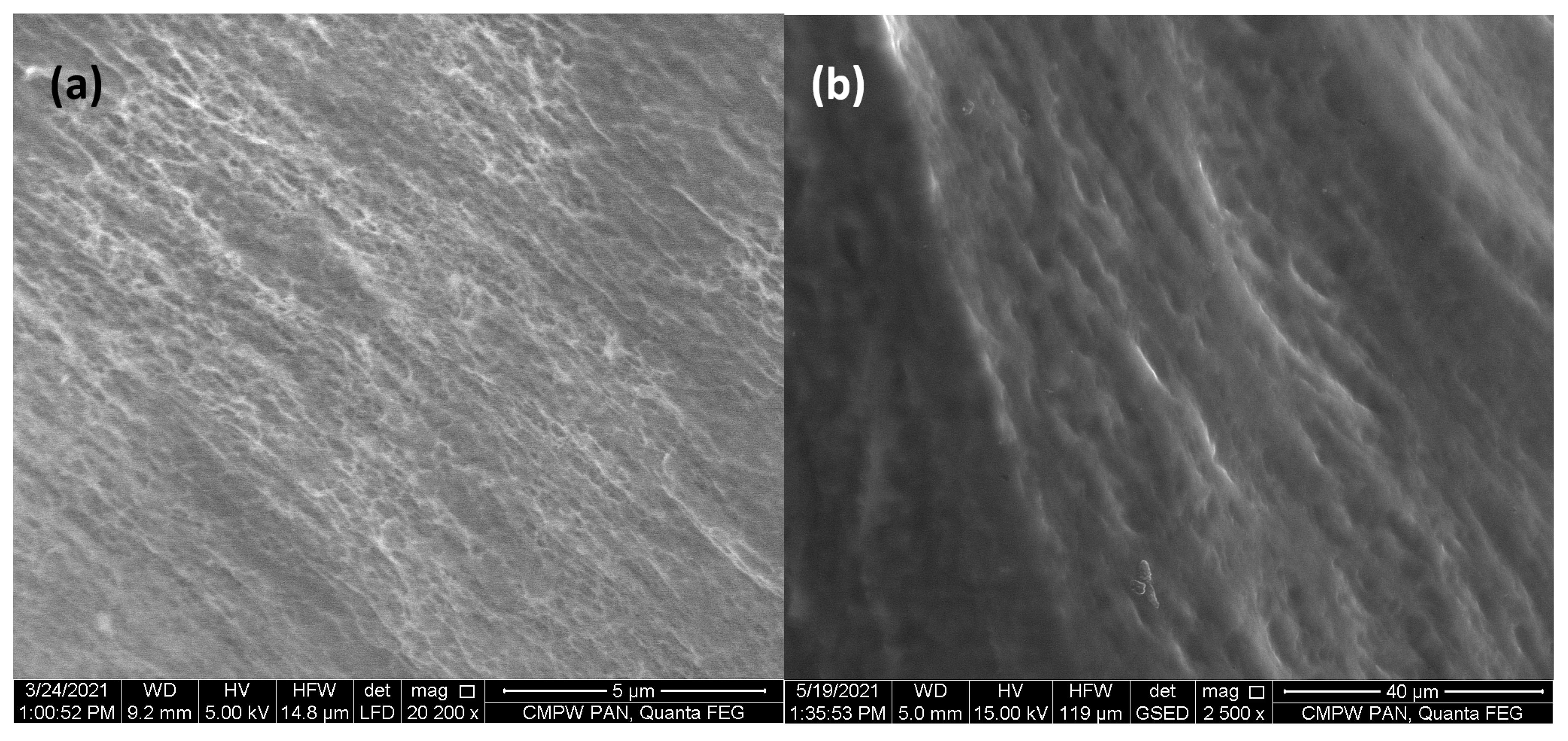 Polymers 15 02955 g002