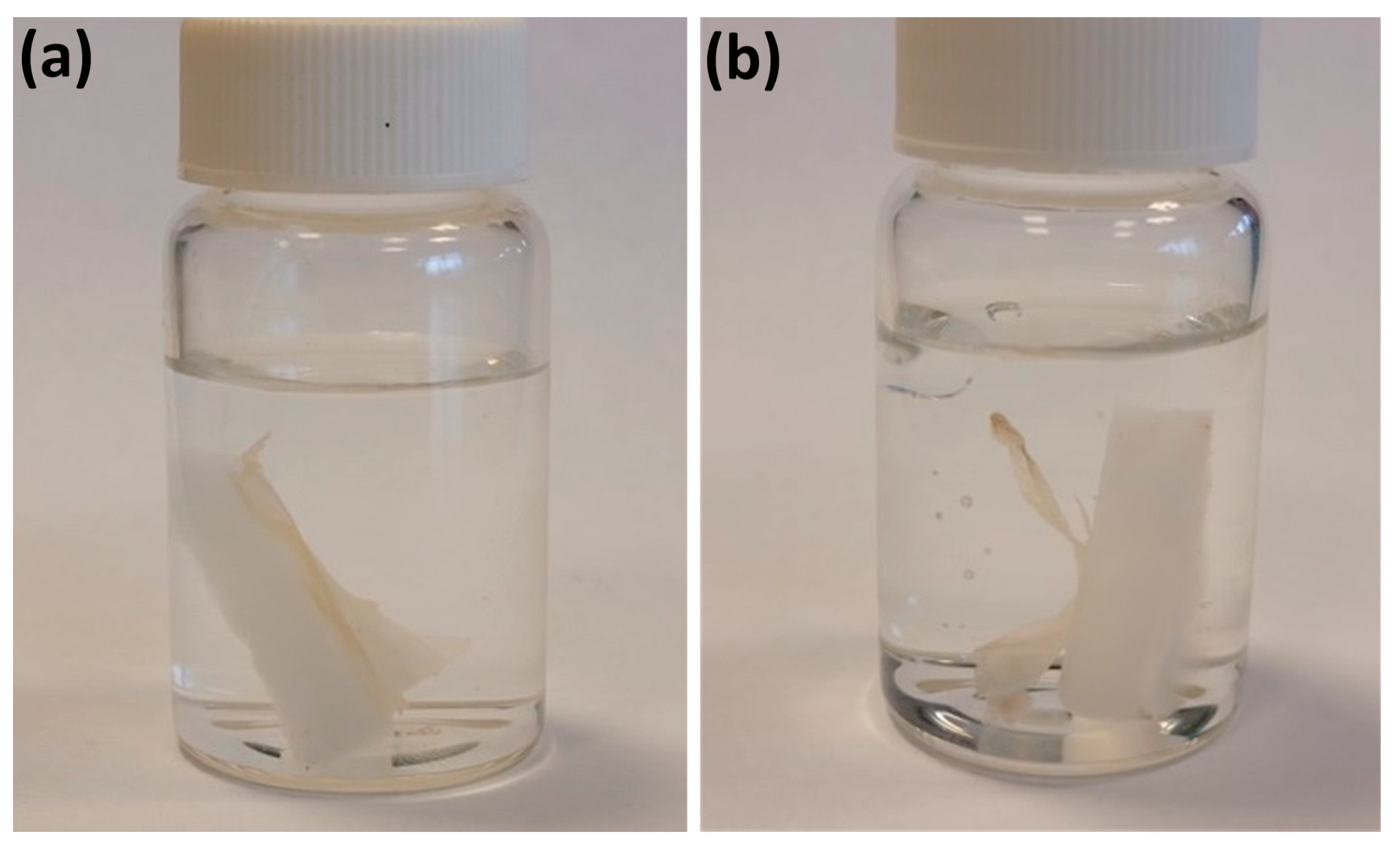 Polymers 15 02955 g004