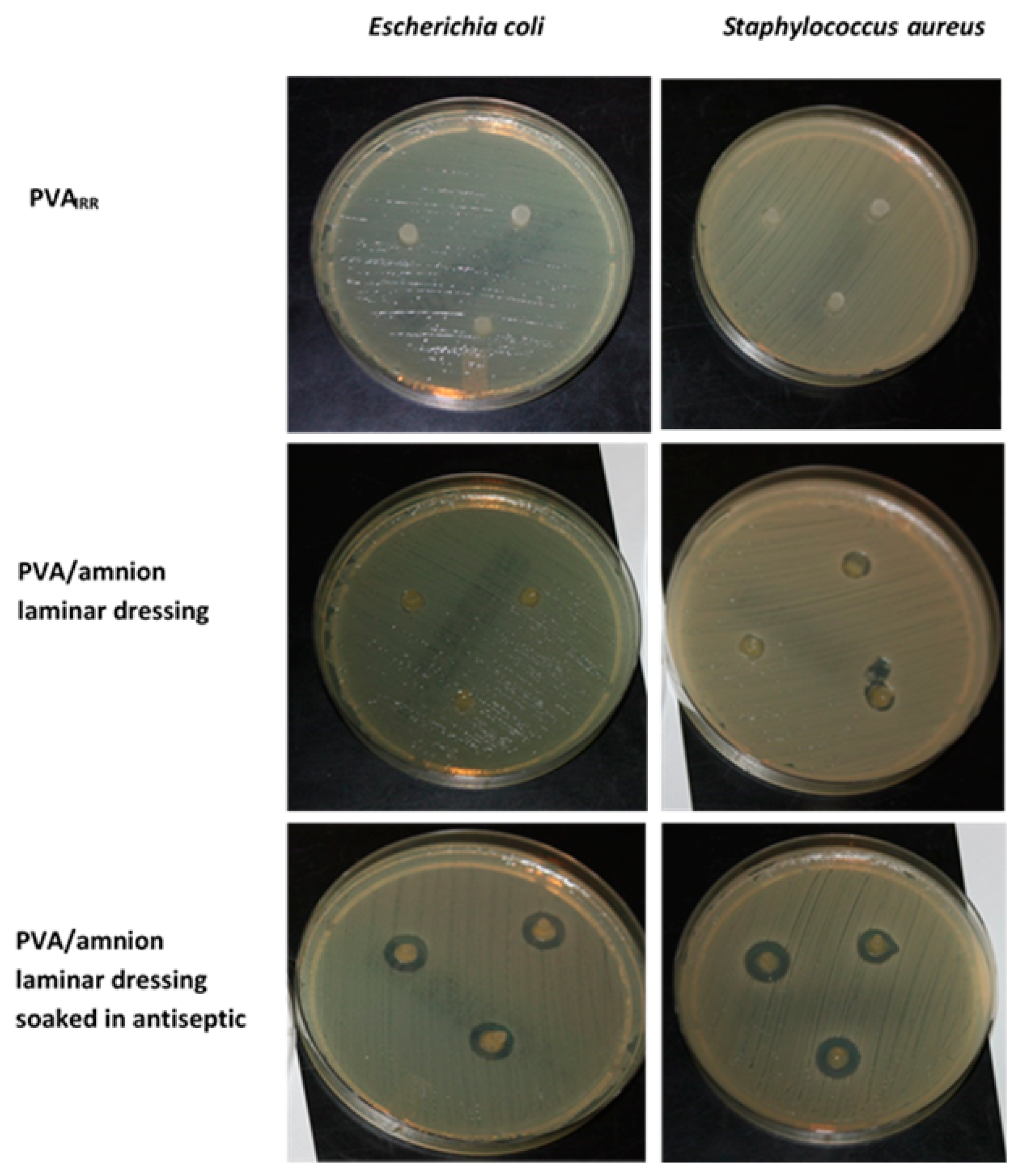 Polymers 15 02955 g008