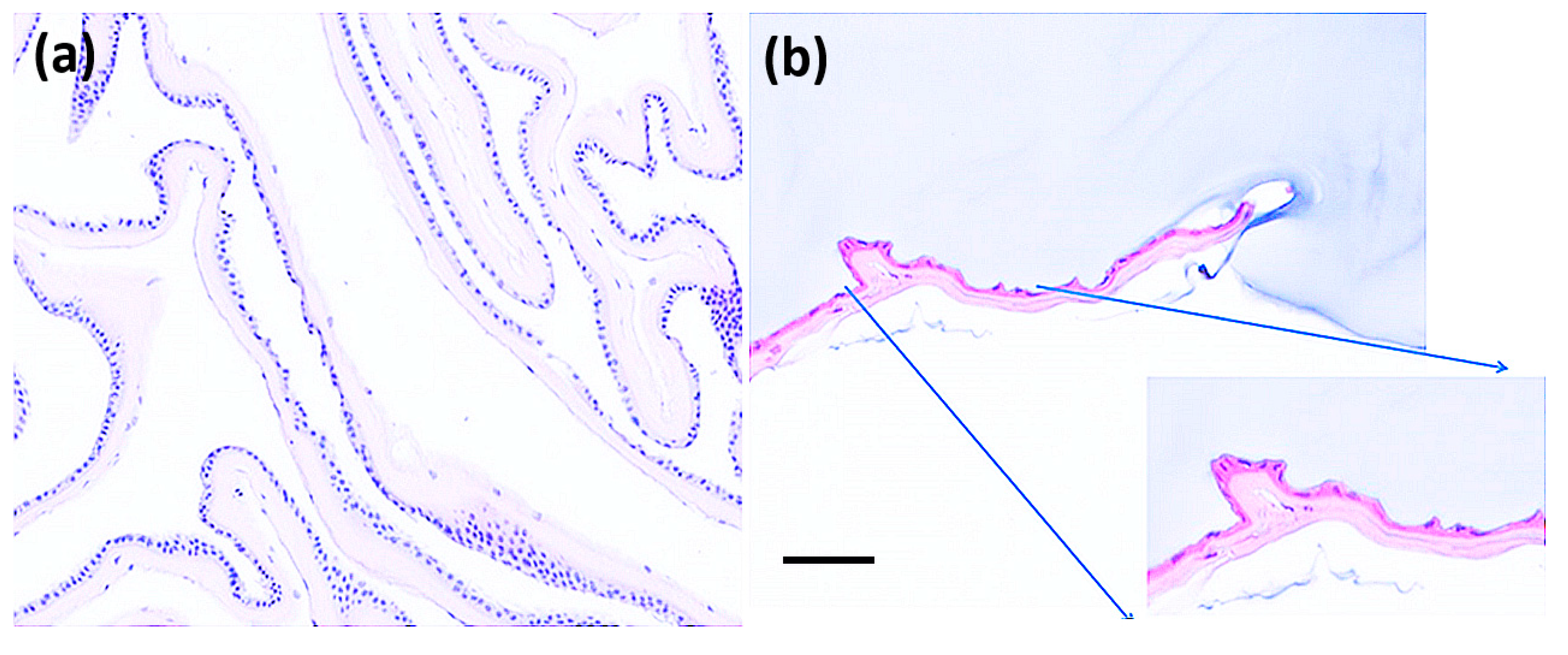 Polymers 15 02955 g009
