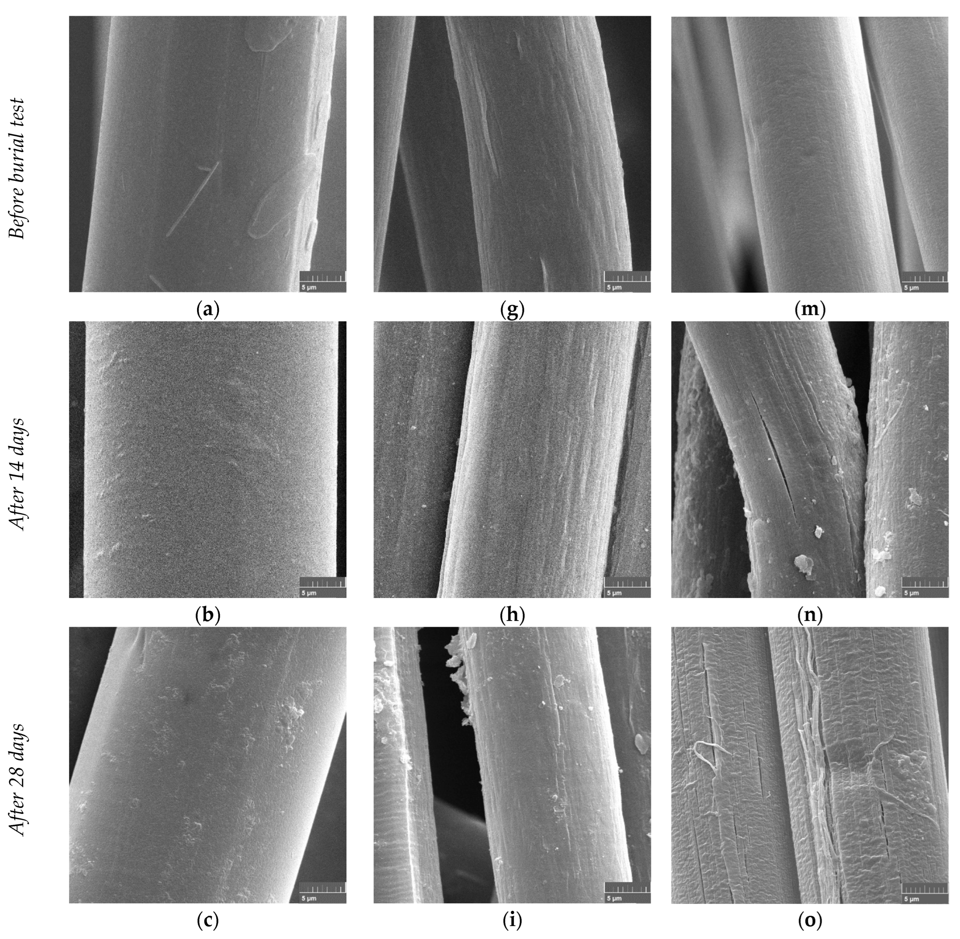 Polymers 15 02959 g002a
