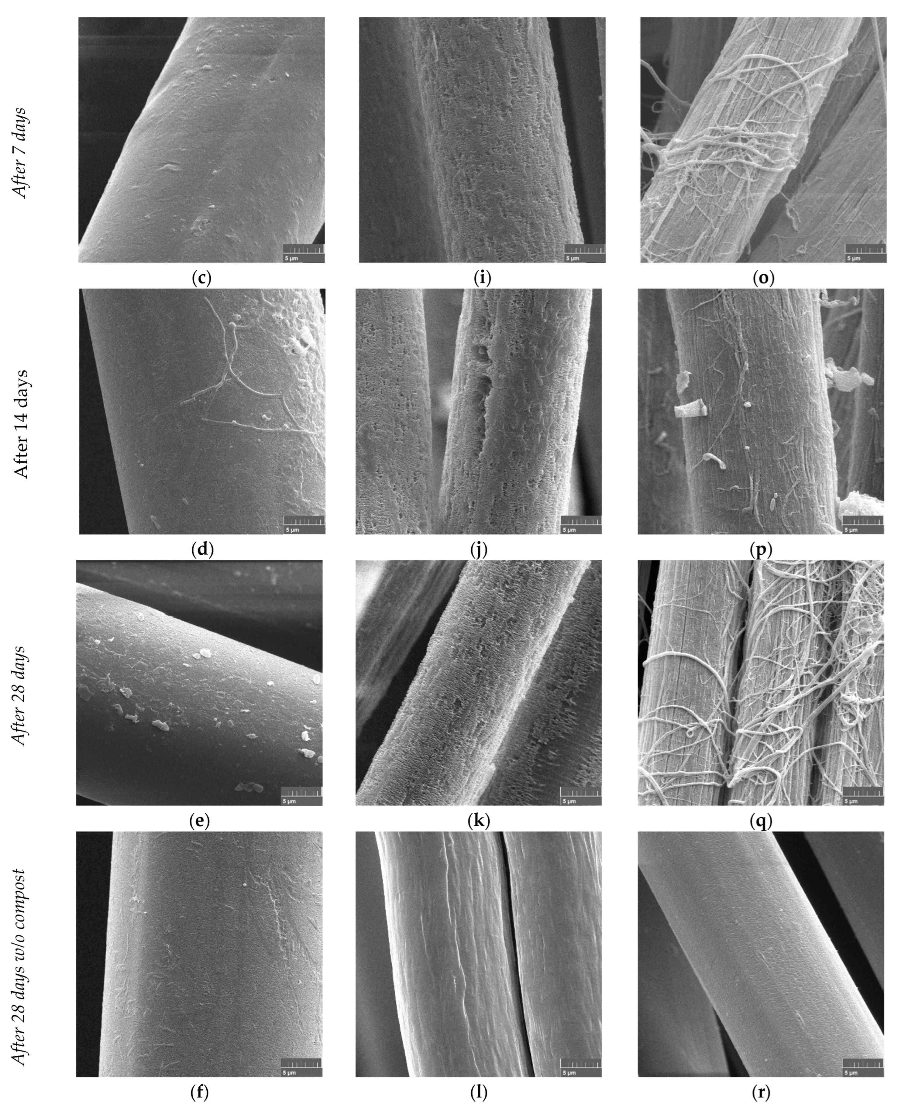 Polymers 15 02959 g006b