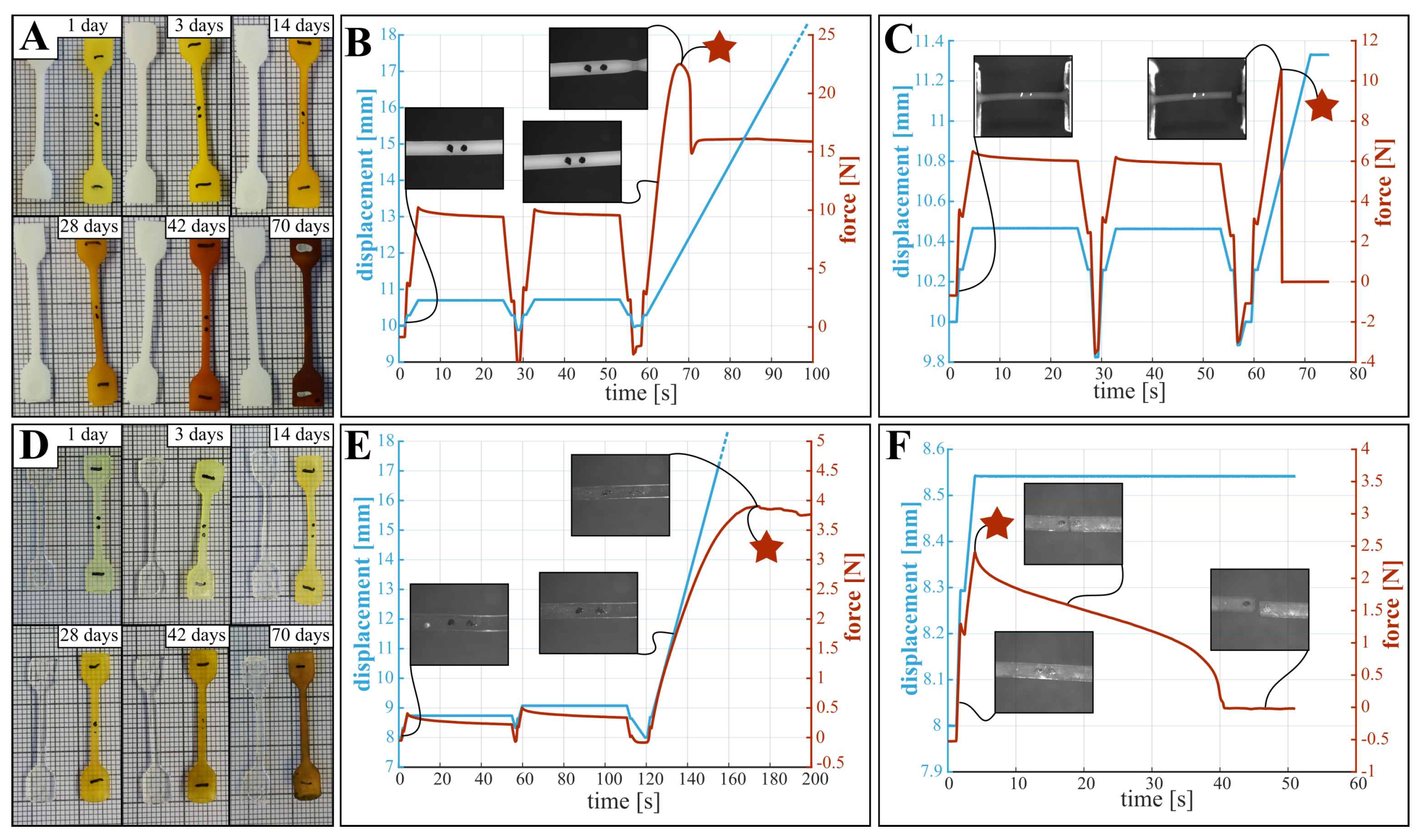 Polymers 15 02964 g002