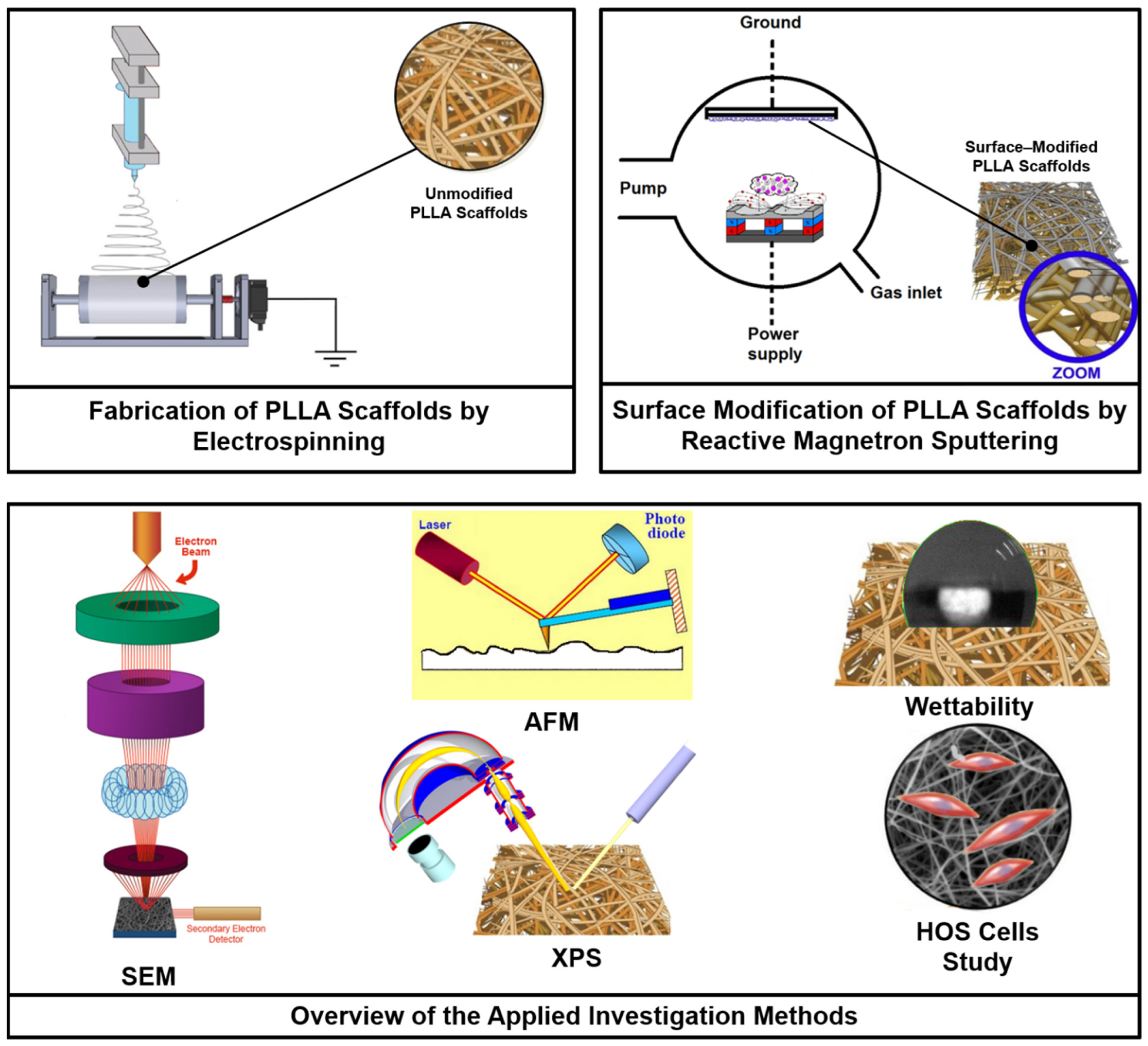 Polymers 15 02969 g001