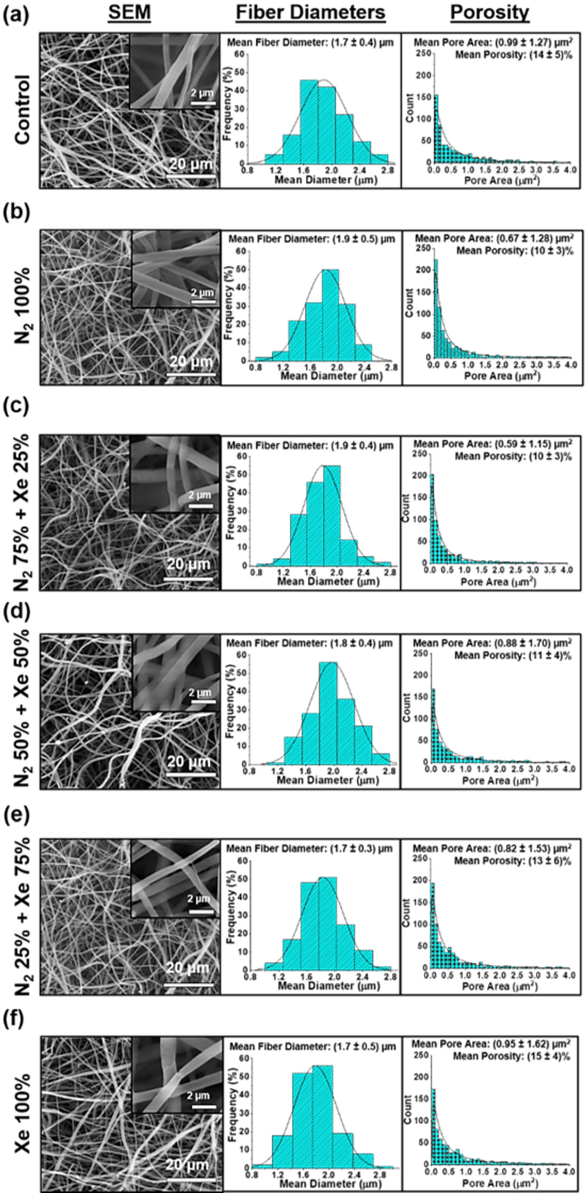 Polymers 15 02969 g002