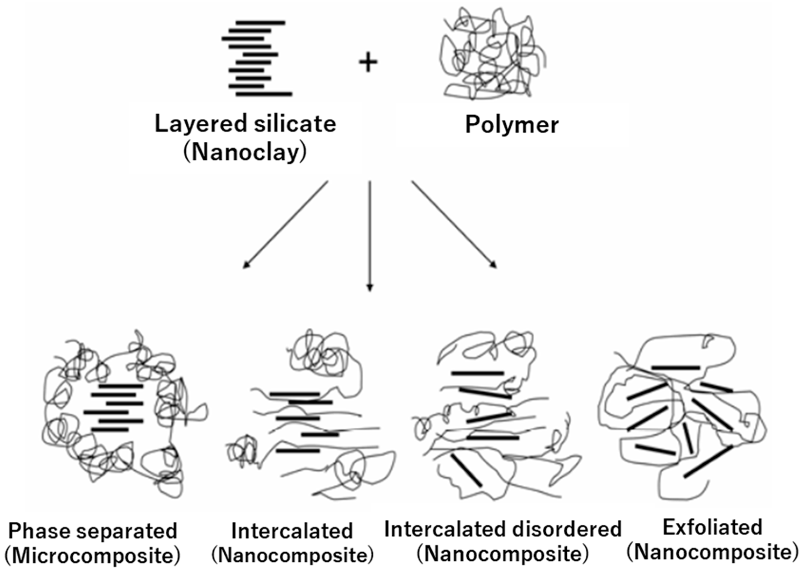 Polymers 15 02972 g007