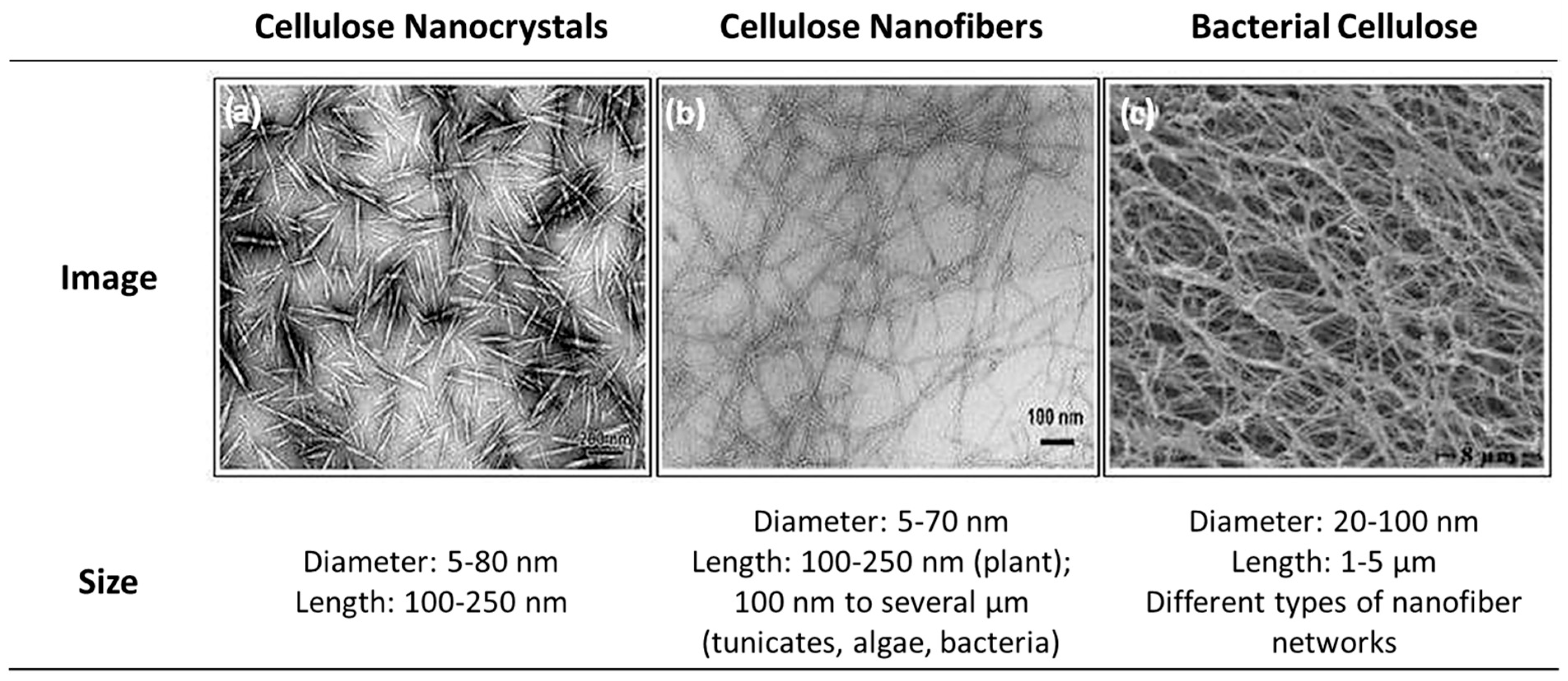 Polymers 15 02972 g011