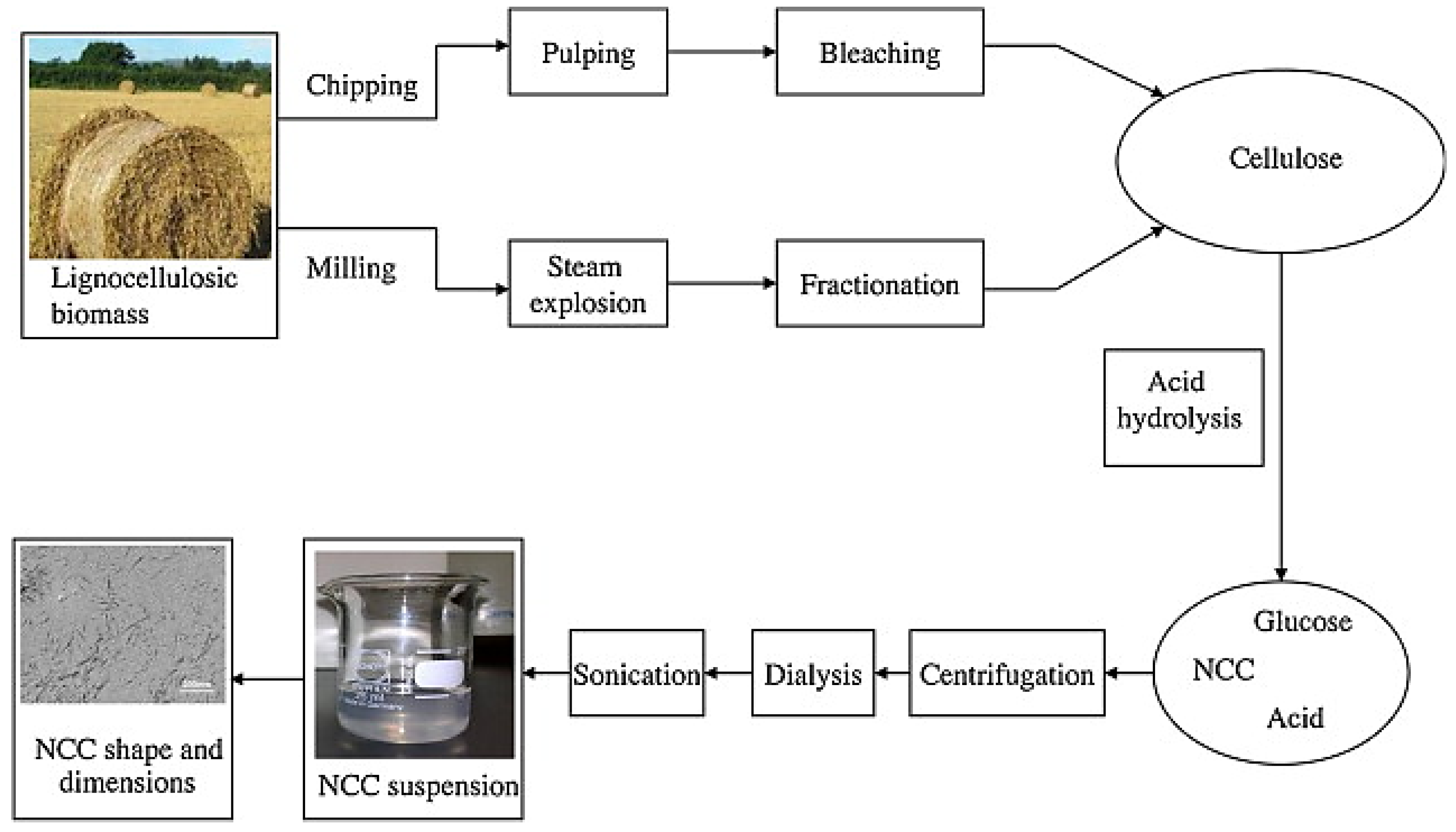 Polymers 15 02972 g012