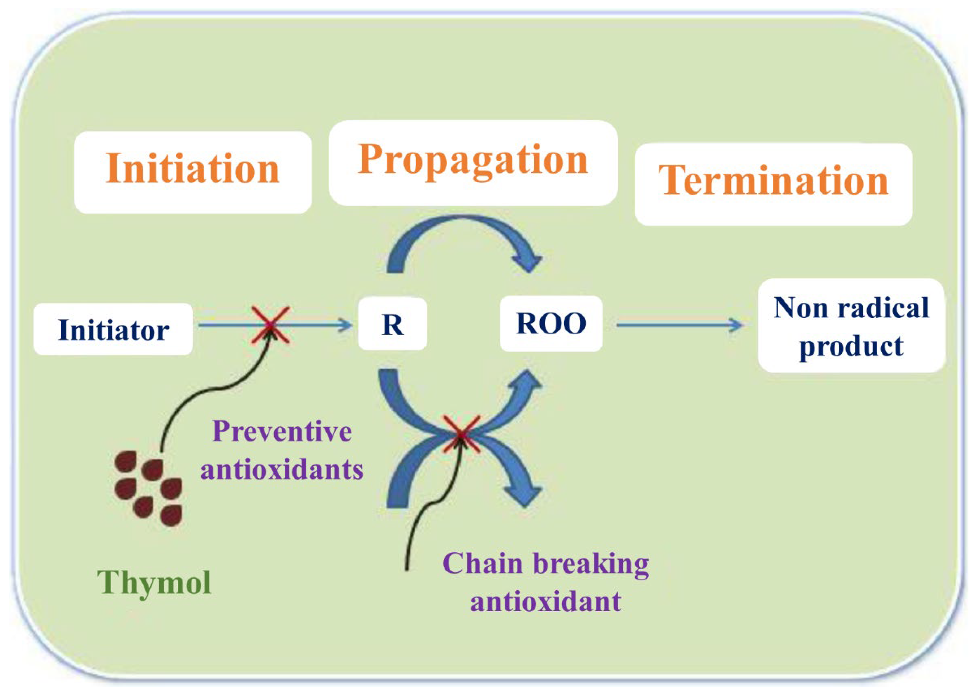 Polymers 15 02972 g016