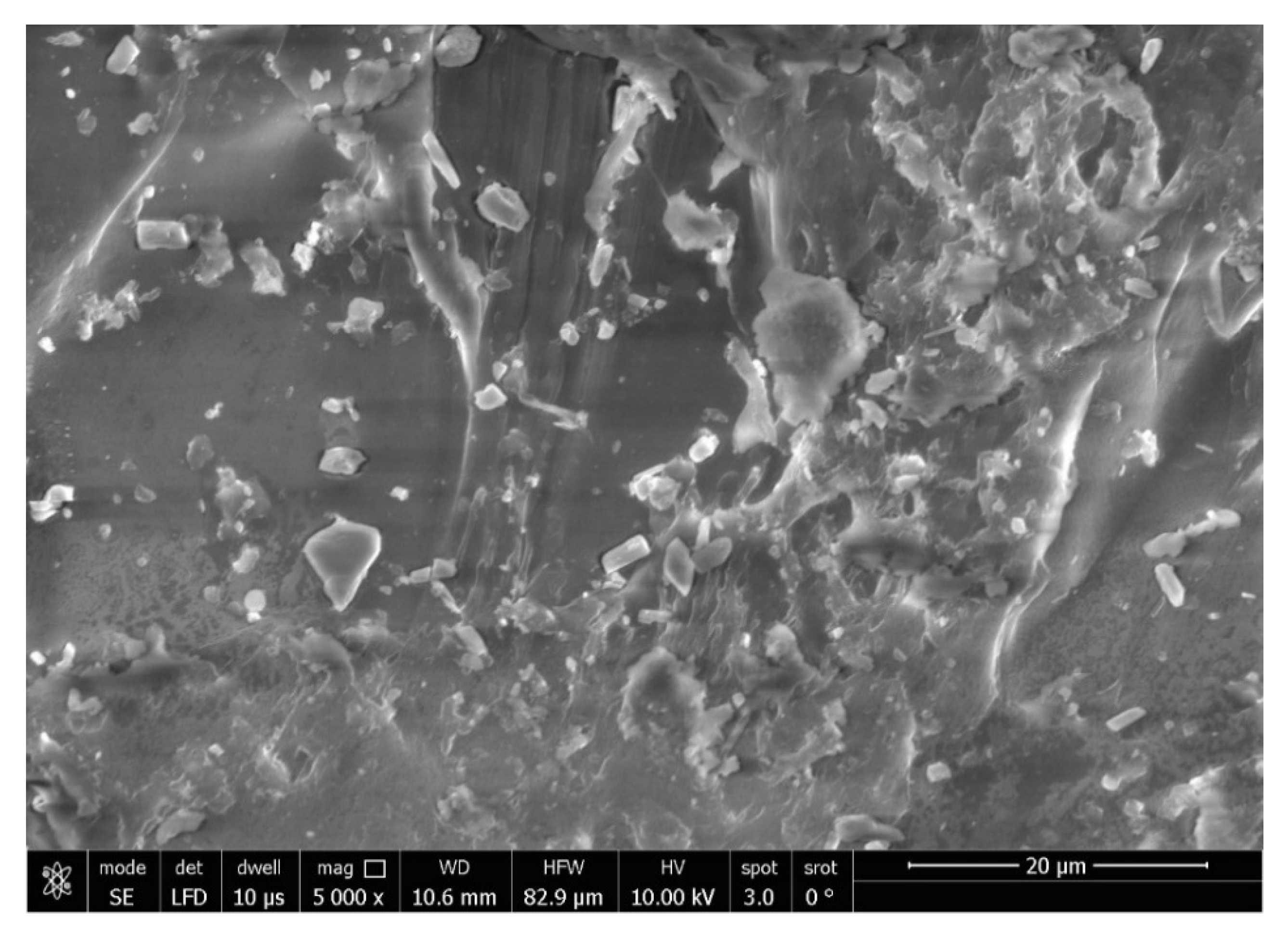 Polymers 15 02976 g007 Polymers 15 02976 g007