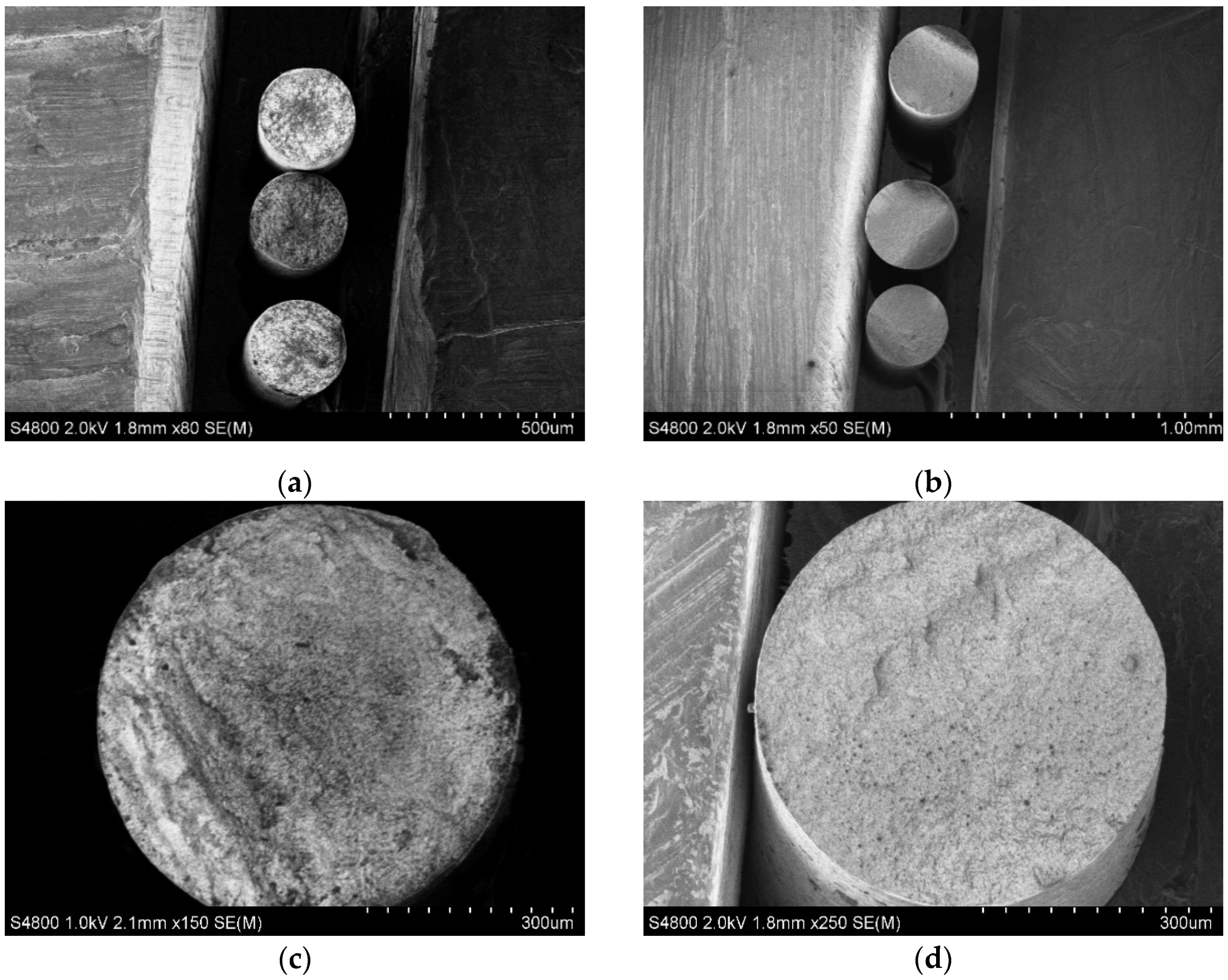 Polymers 15 02988 g006