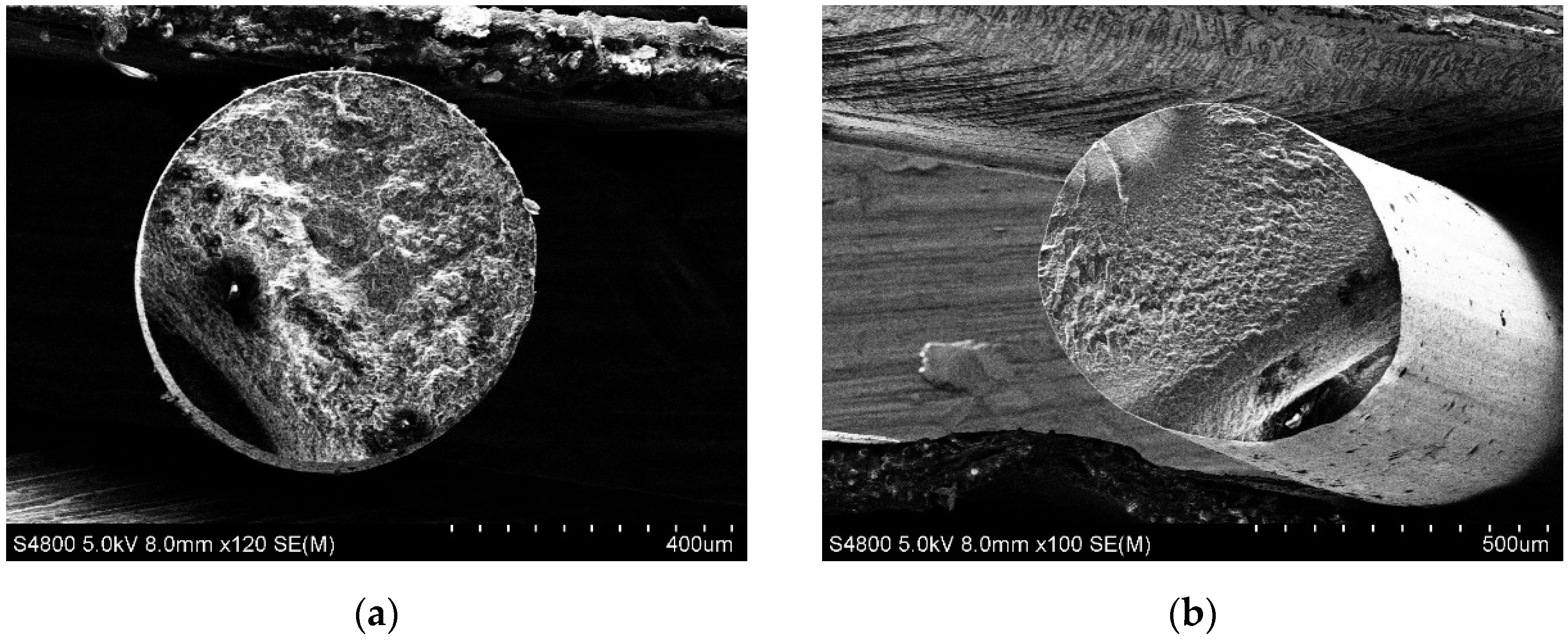 Polymers 15 02988 g007