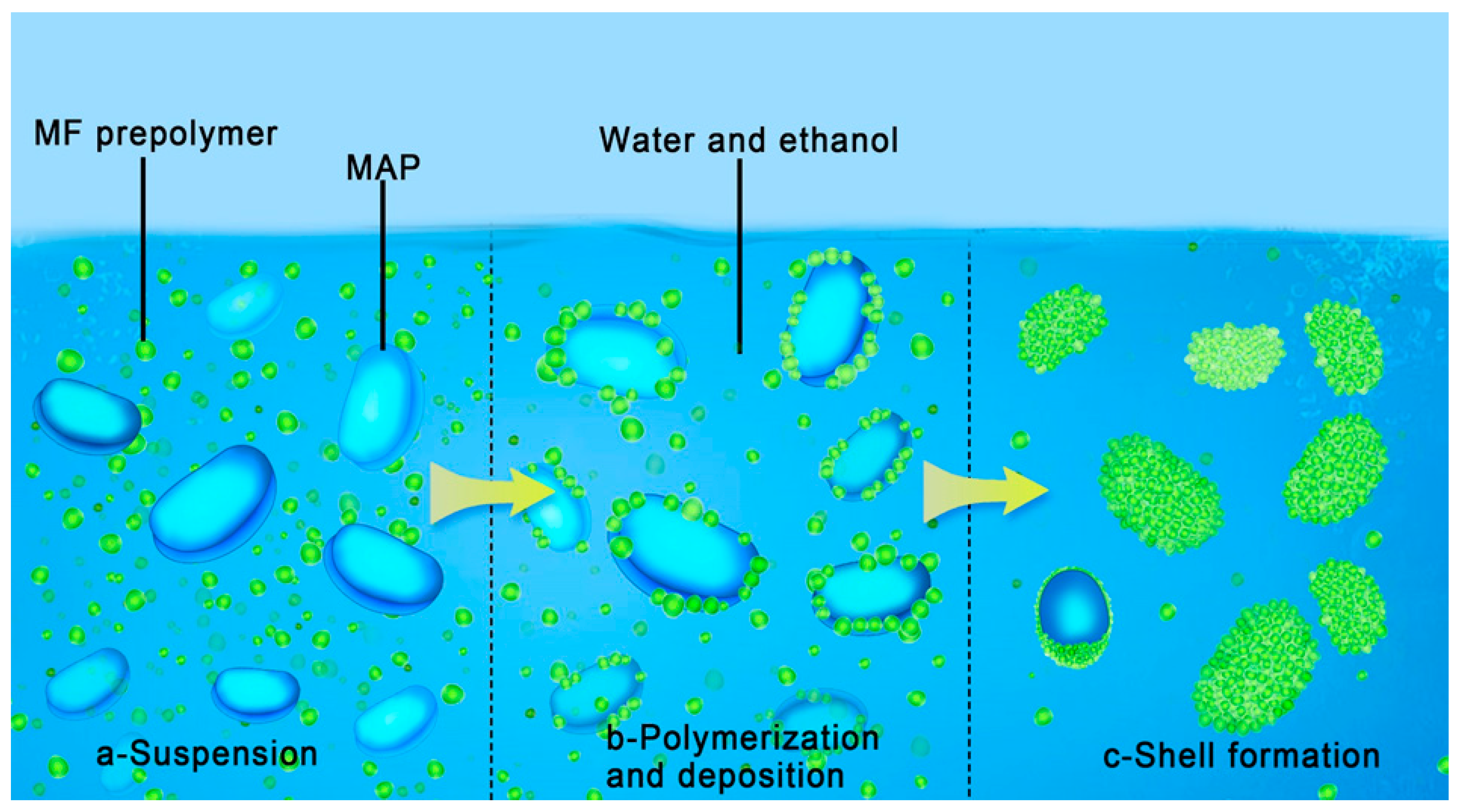Polymers 15 02991 g002