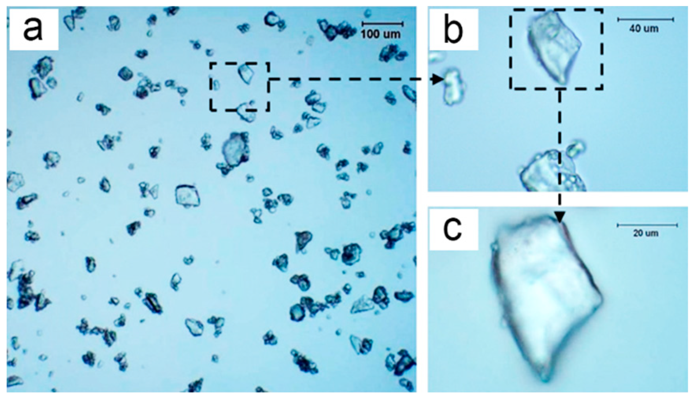 Polymers 15 02991 g003