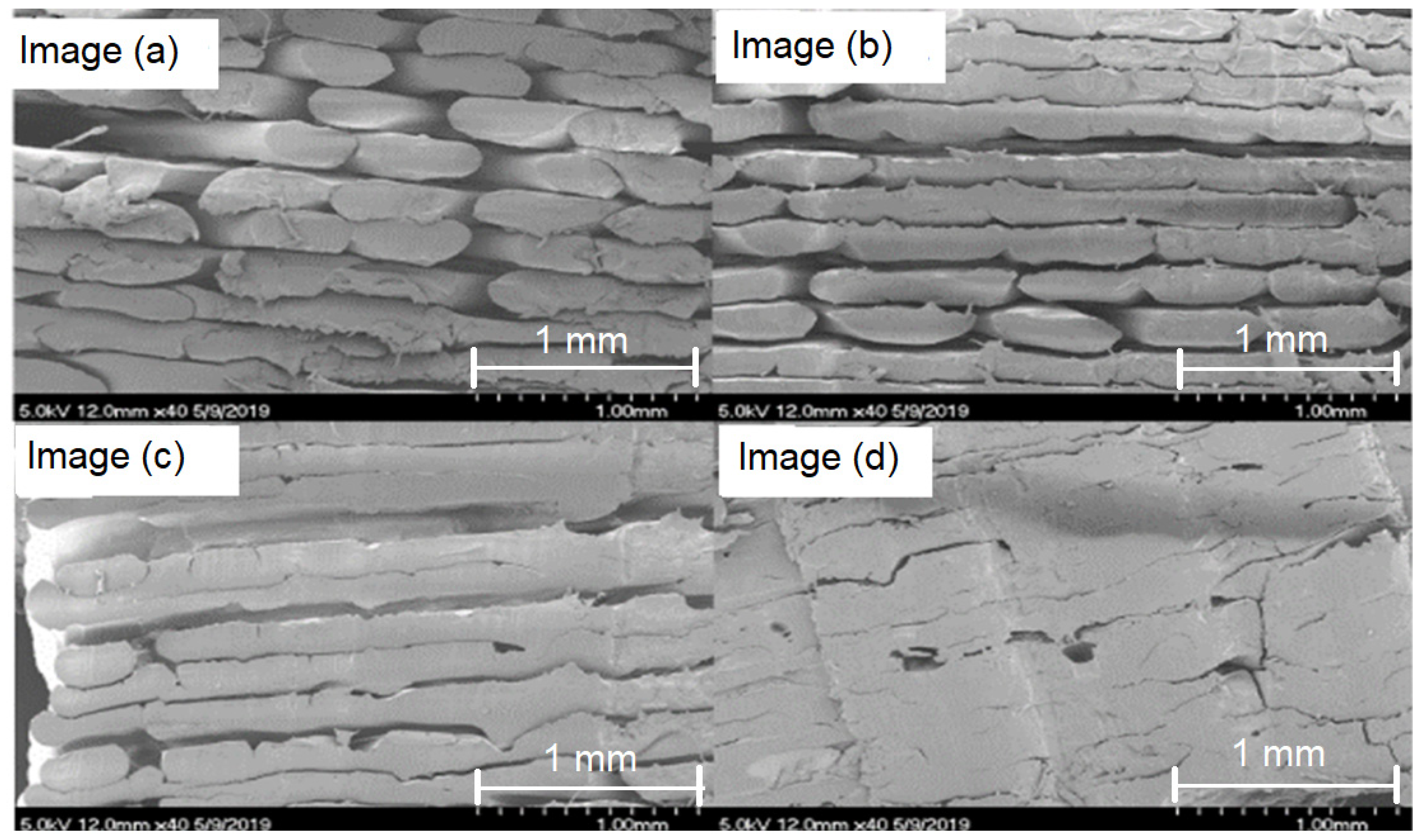 Polymers 15 02992 g004
