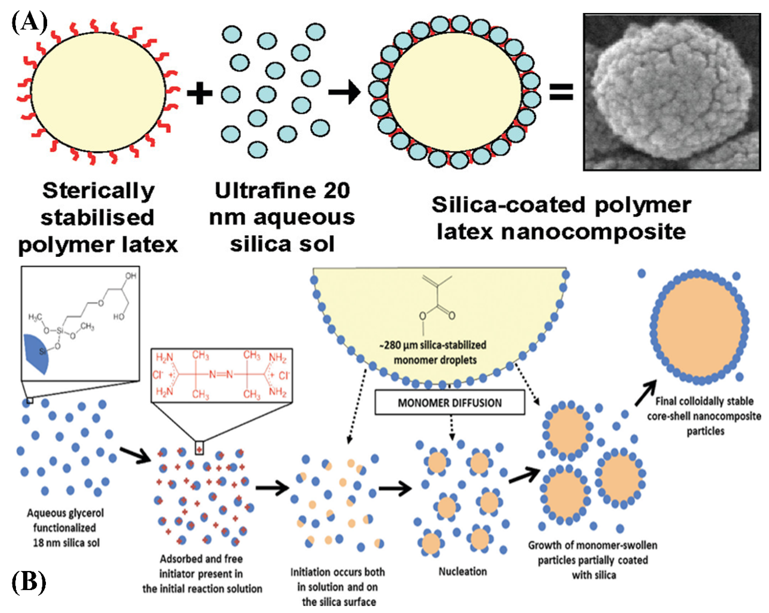 Polymers Free FullText Advances in Hybrid Latex Particles via In Situ