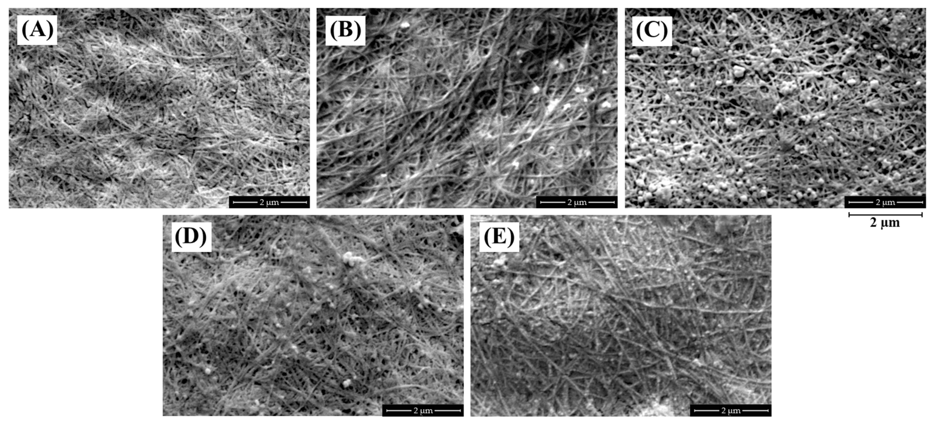 Polymers 15 02996 g002 Polymers 15 02996 g002
