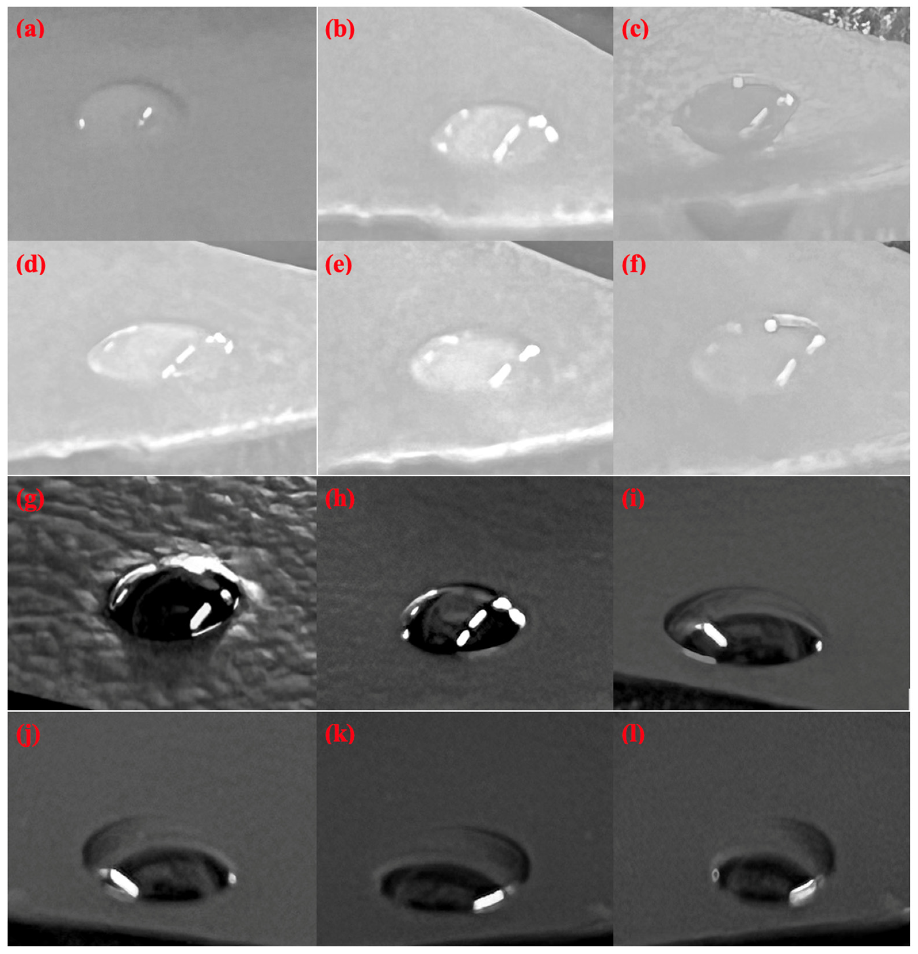 Polymers 15 02998 g010 Polymers 15 02998 g010