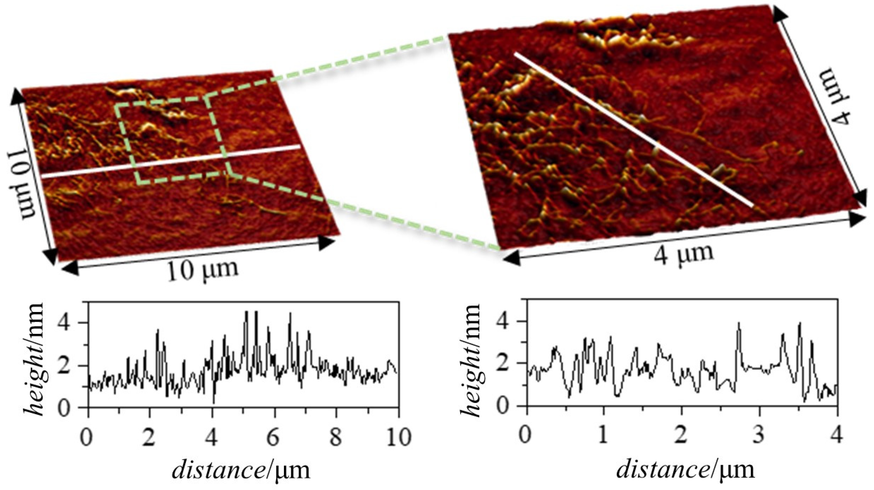 Polymers 15 03011 g010